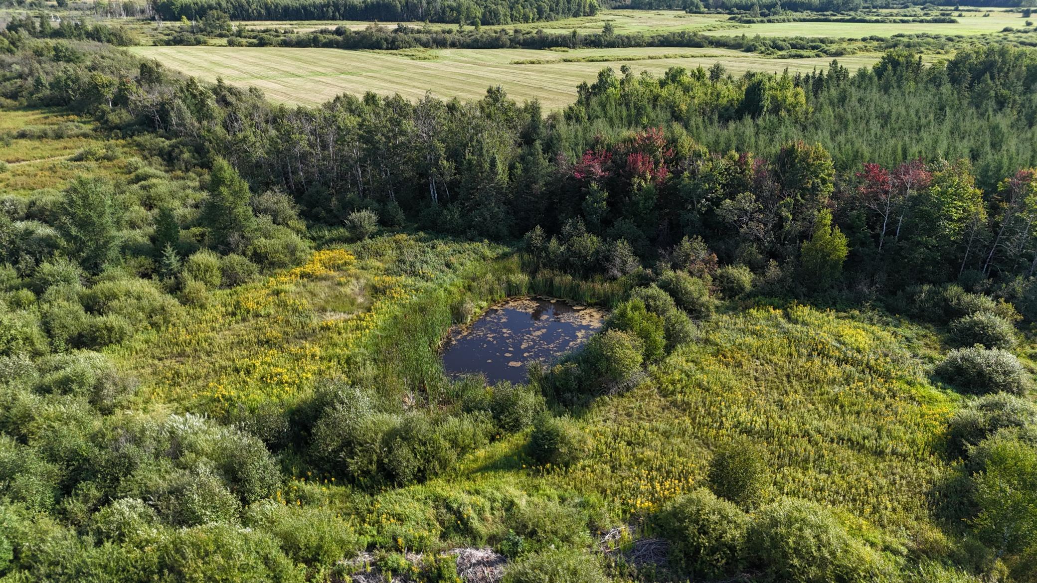Tbd Kingsley Road Property Photo 7