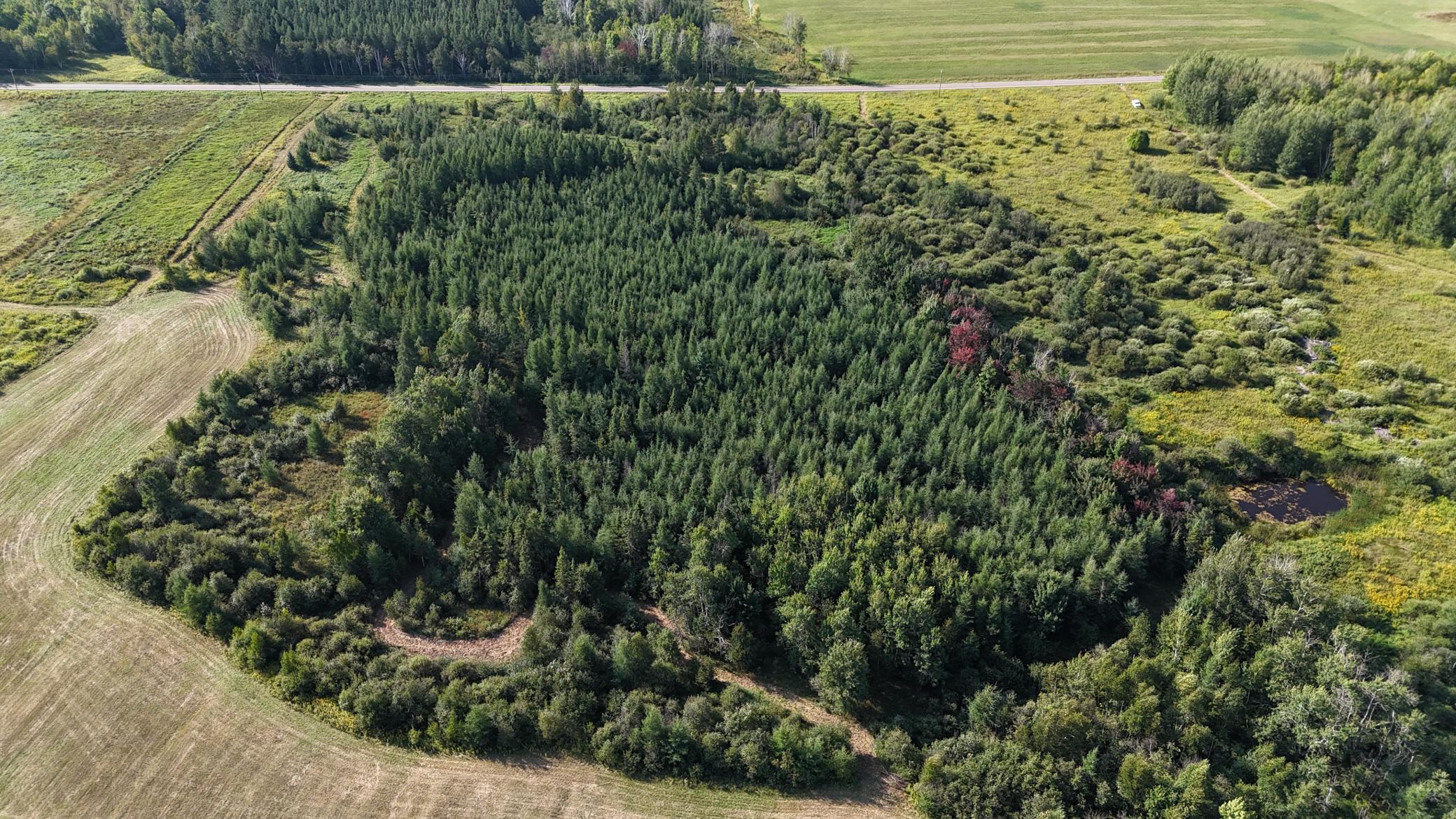 Tbd Kingsley Road Property Photo 31