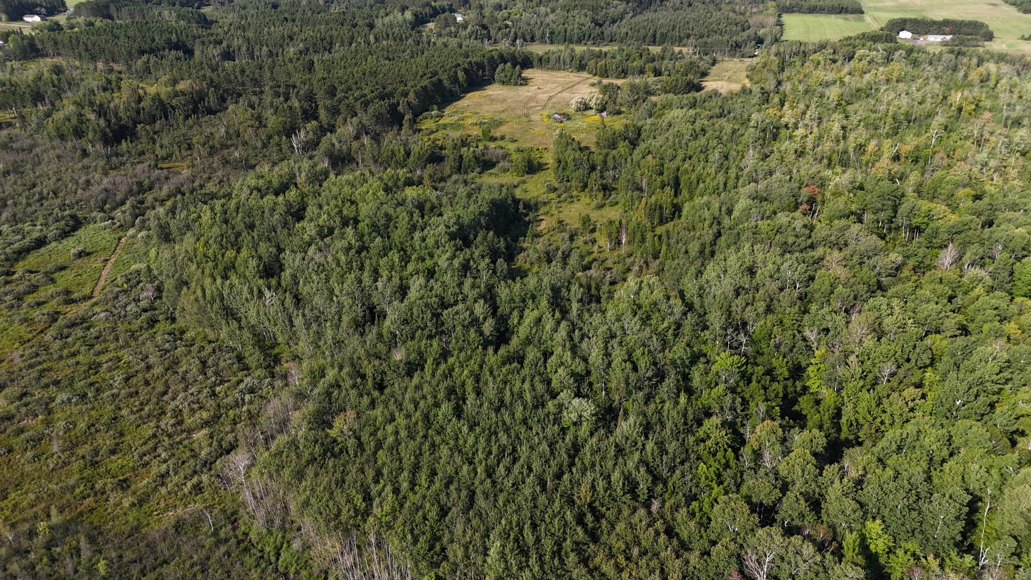 Tbd Kingsley Road Property Photo 34