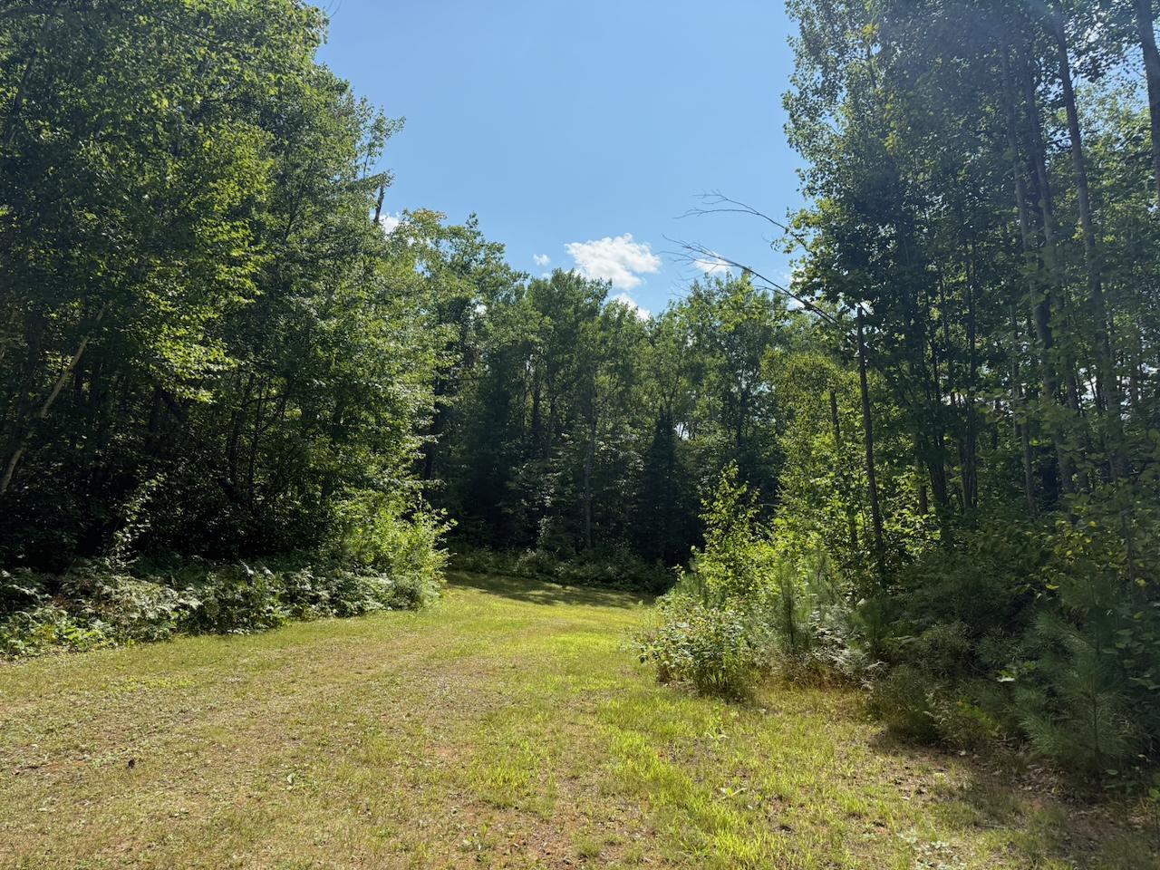 4464 Highway 23 Property Photo 1