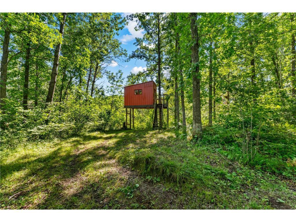 20907 Hardwood Loop Property Photo 25