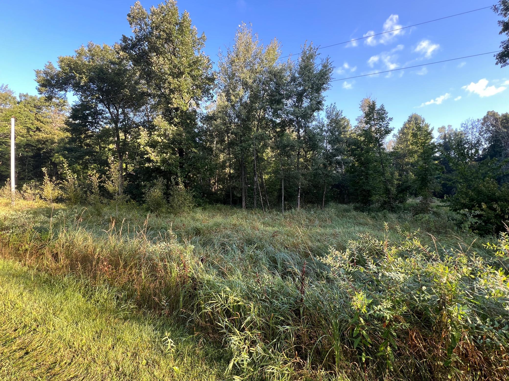 Tbd Spruce Circle Property Photo 2