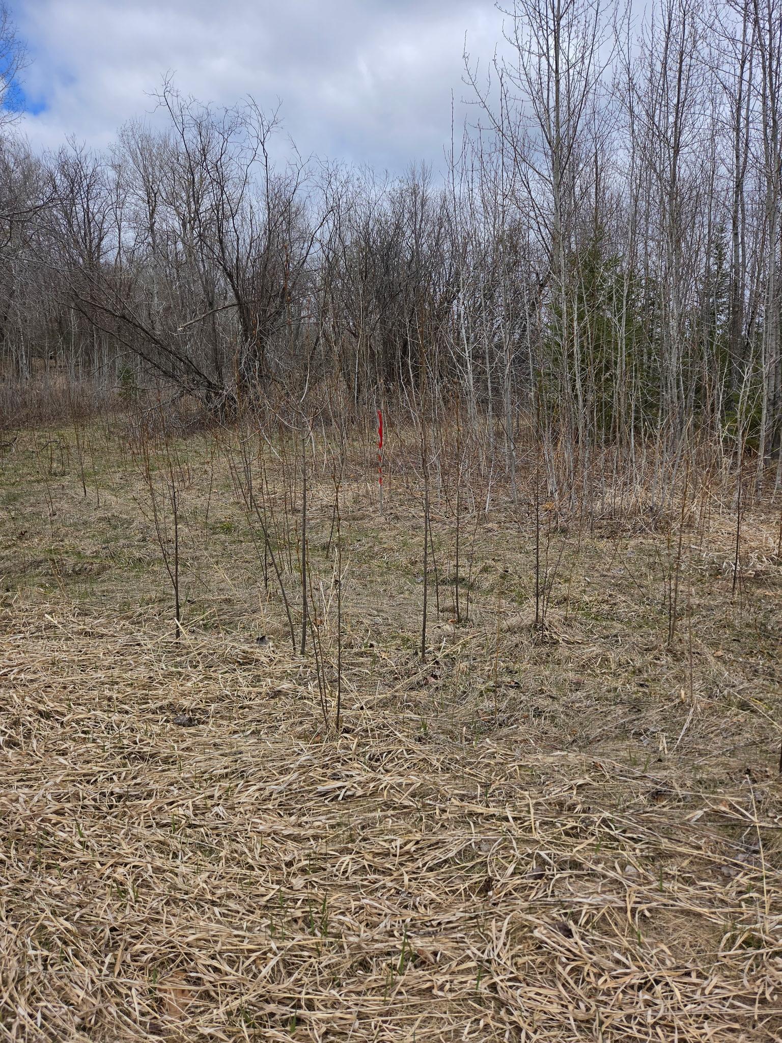 Tbd Rolland Road Property Photo 1