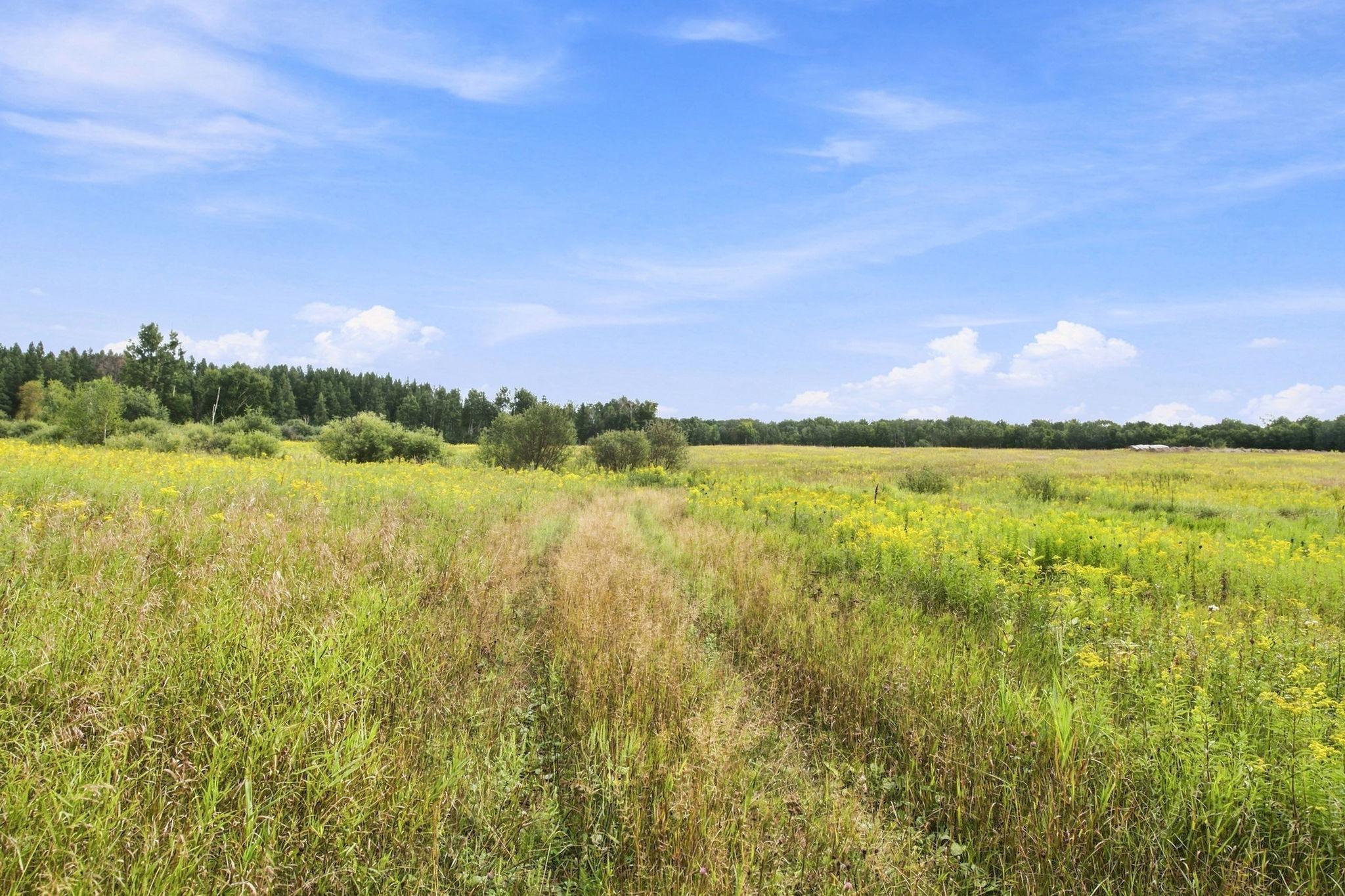 Tbd Teds Drive Property Photo 3