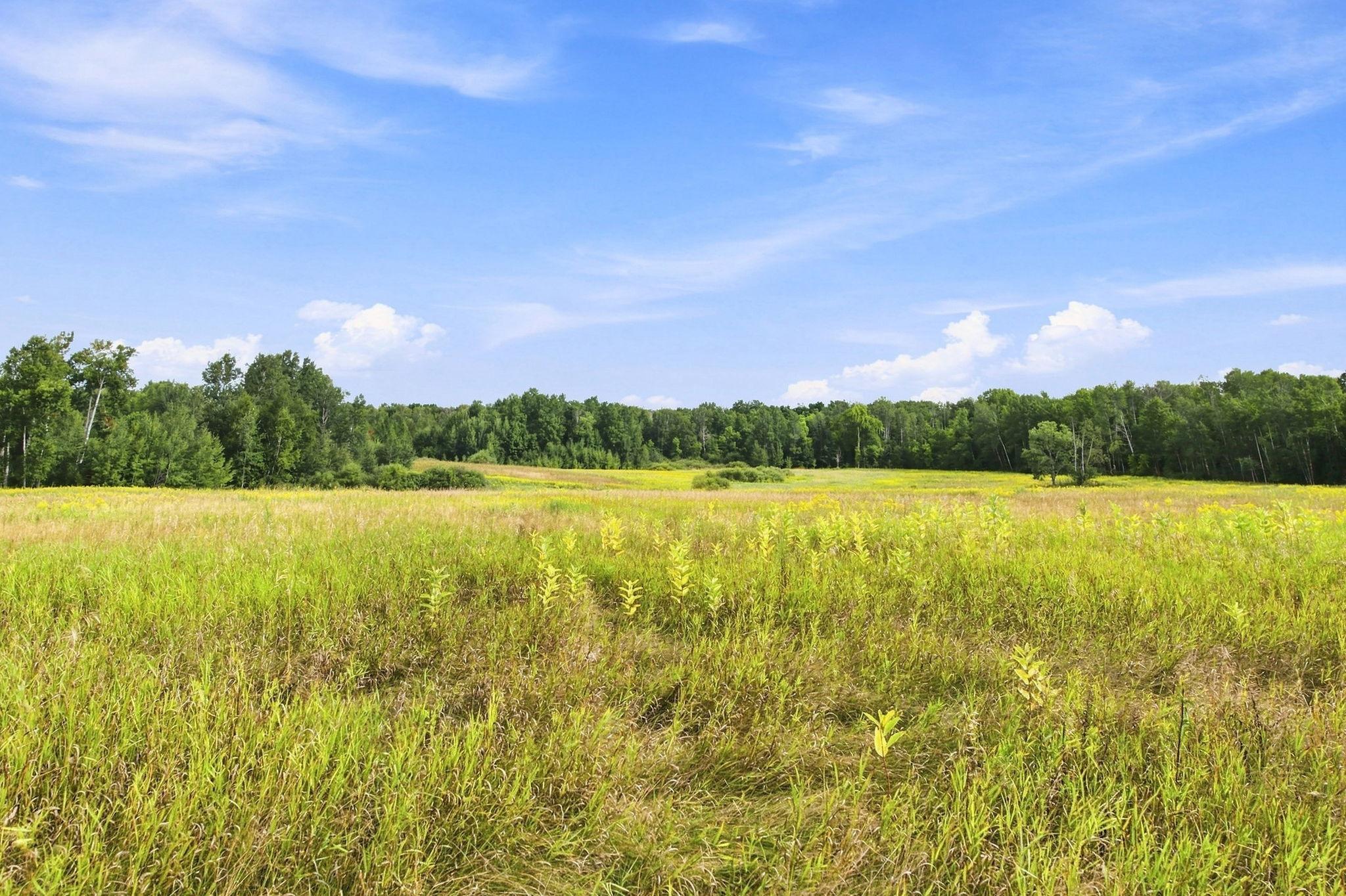 Tbd Teds Drive Property Photo 8
