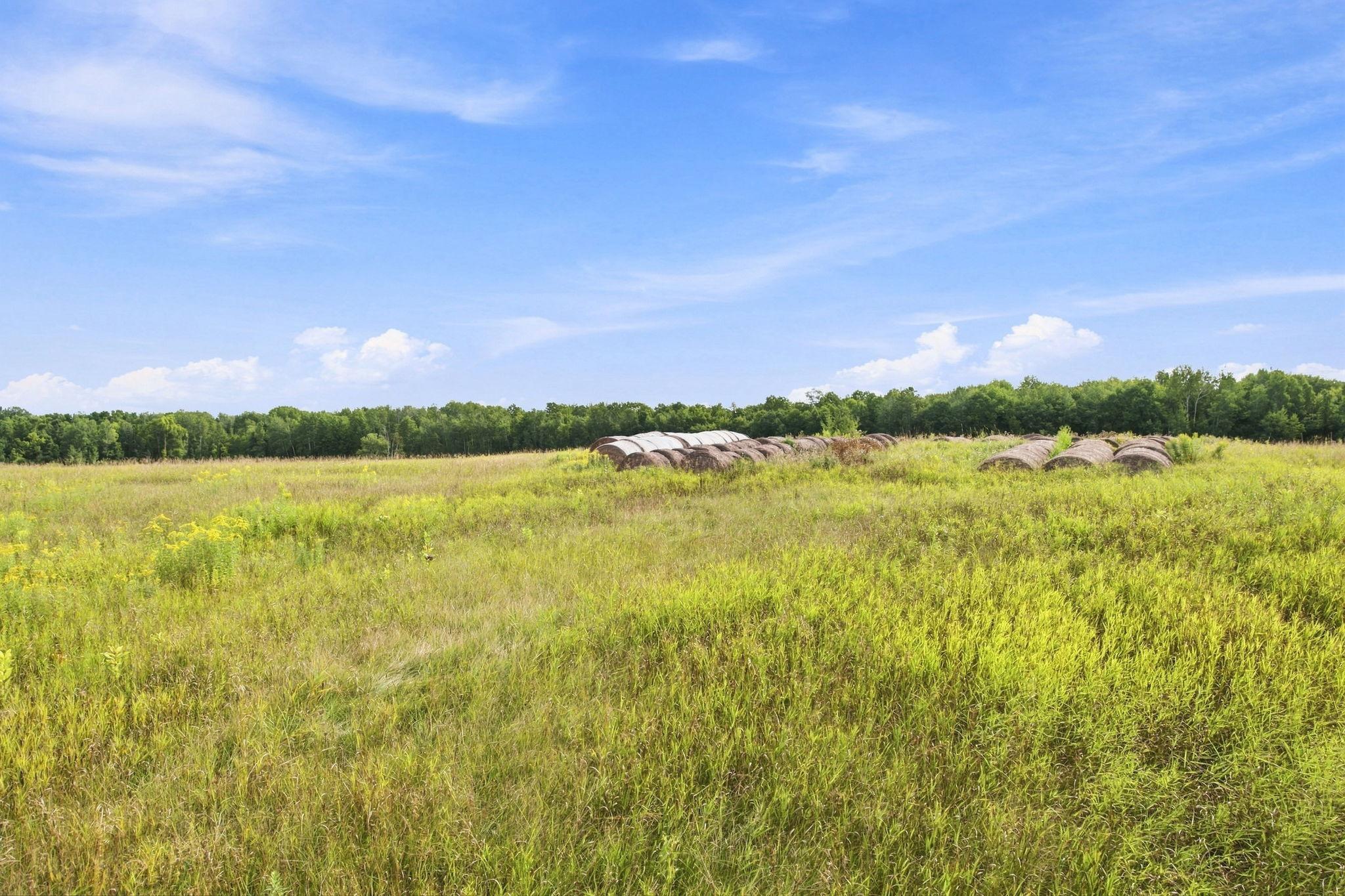 Tbd Teds Drive Property Photo 10