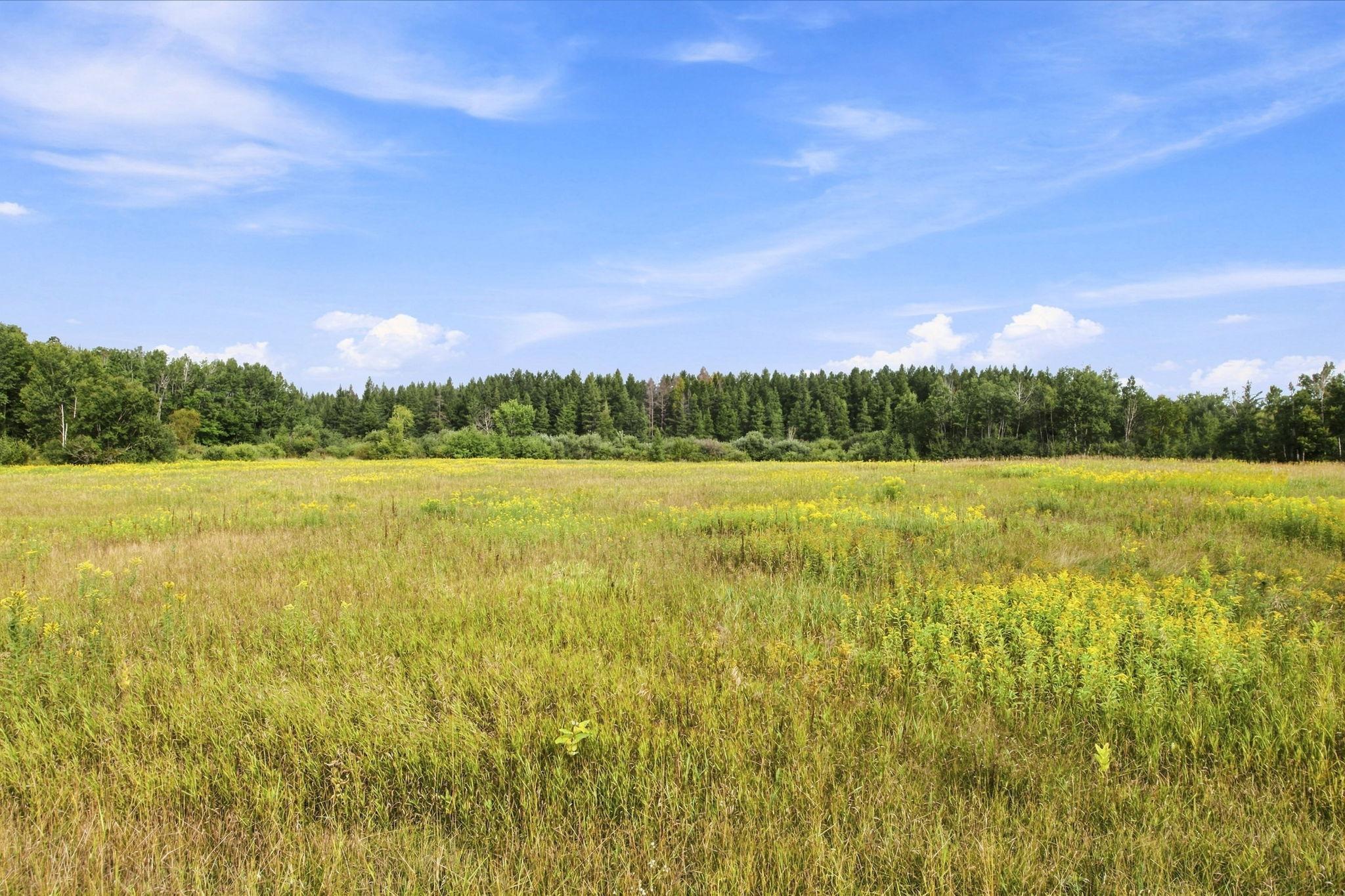 Tbd Teds Drive Property Photo 11