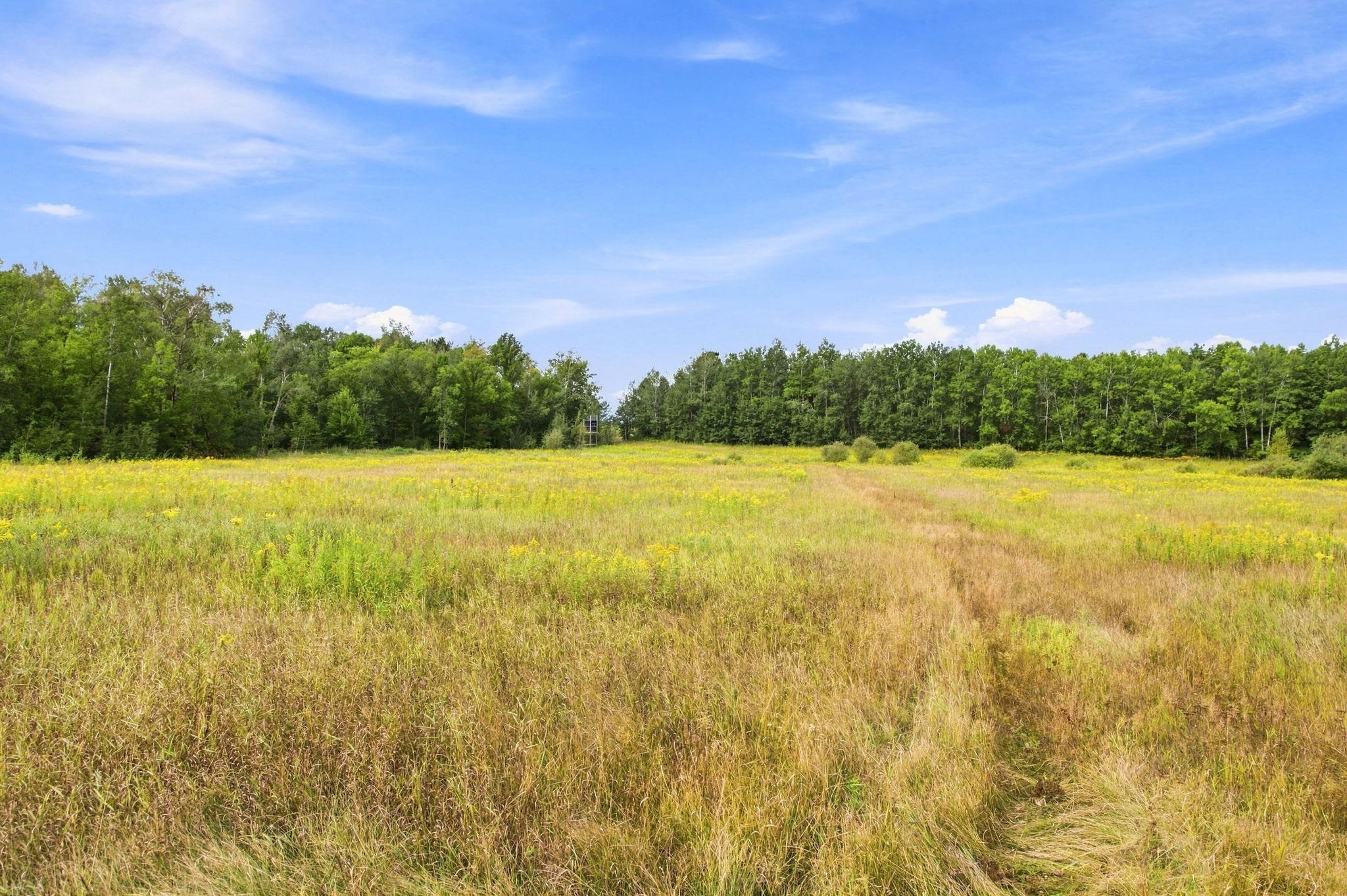 Tbd Teds Drive Property Photo 12