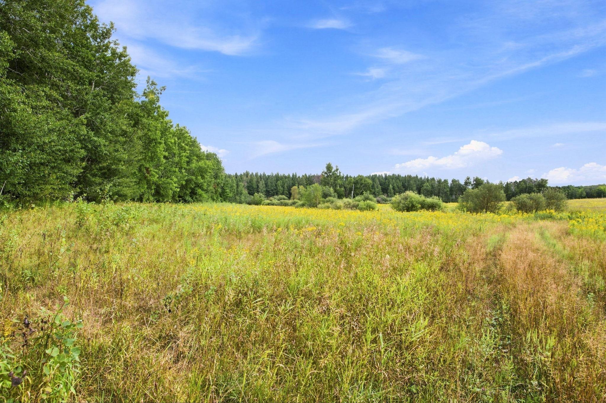 Tbd Teds Drive Property Photo 13