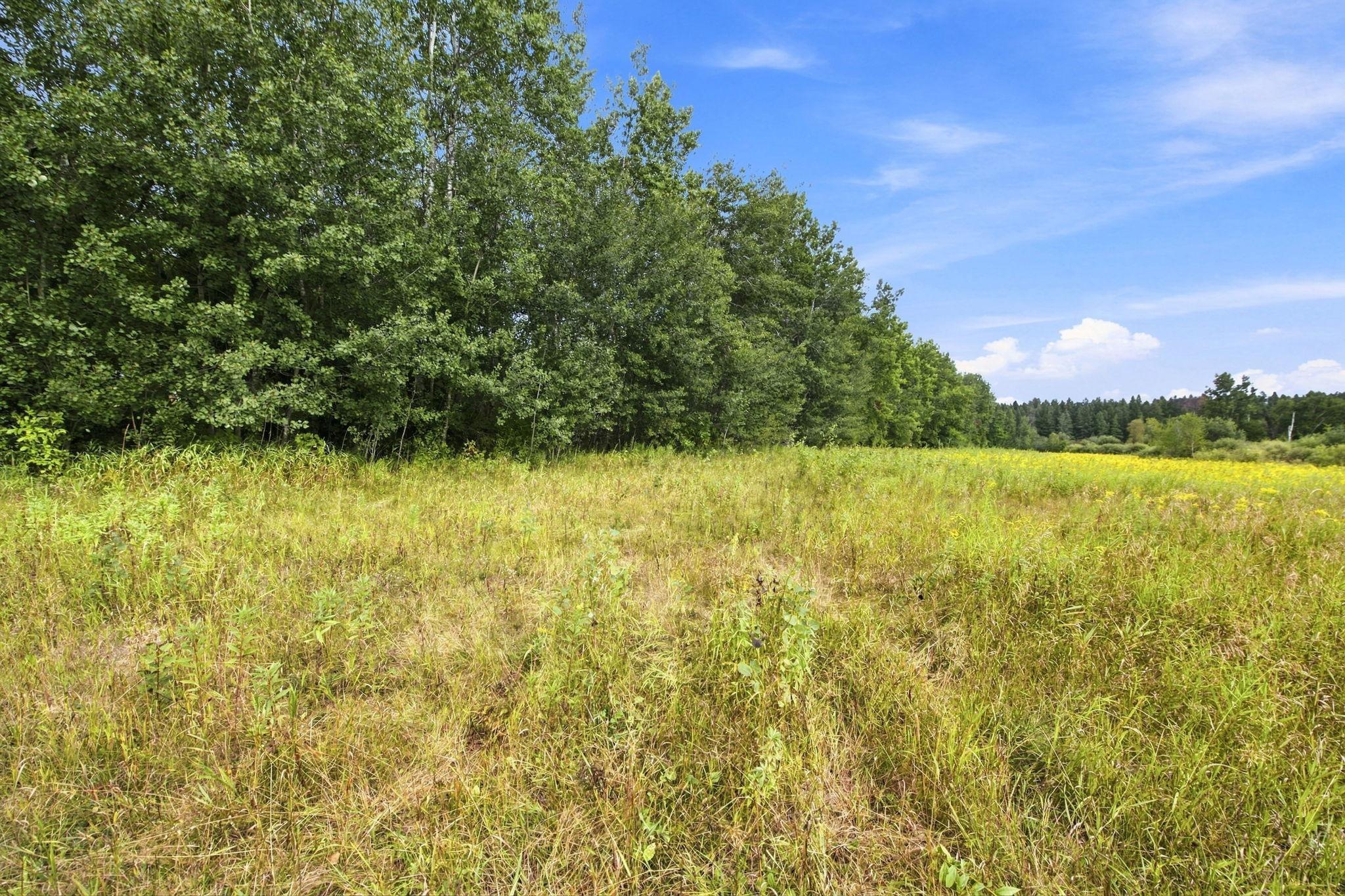 Tbd Teds Drive Property Photo 14