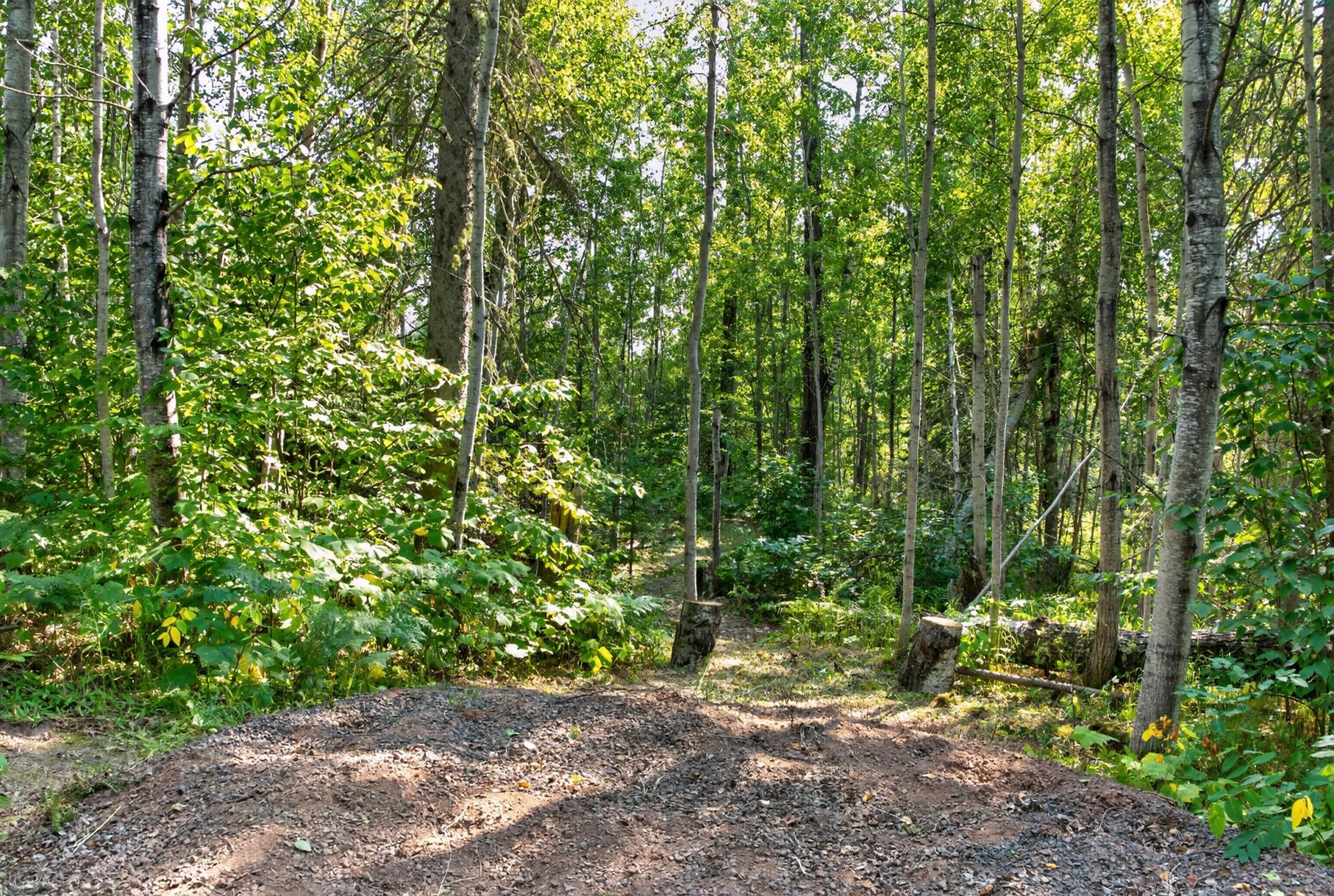 88895 Thunder Bay Road Property Photo 6