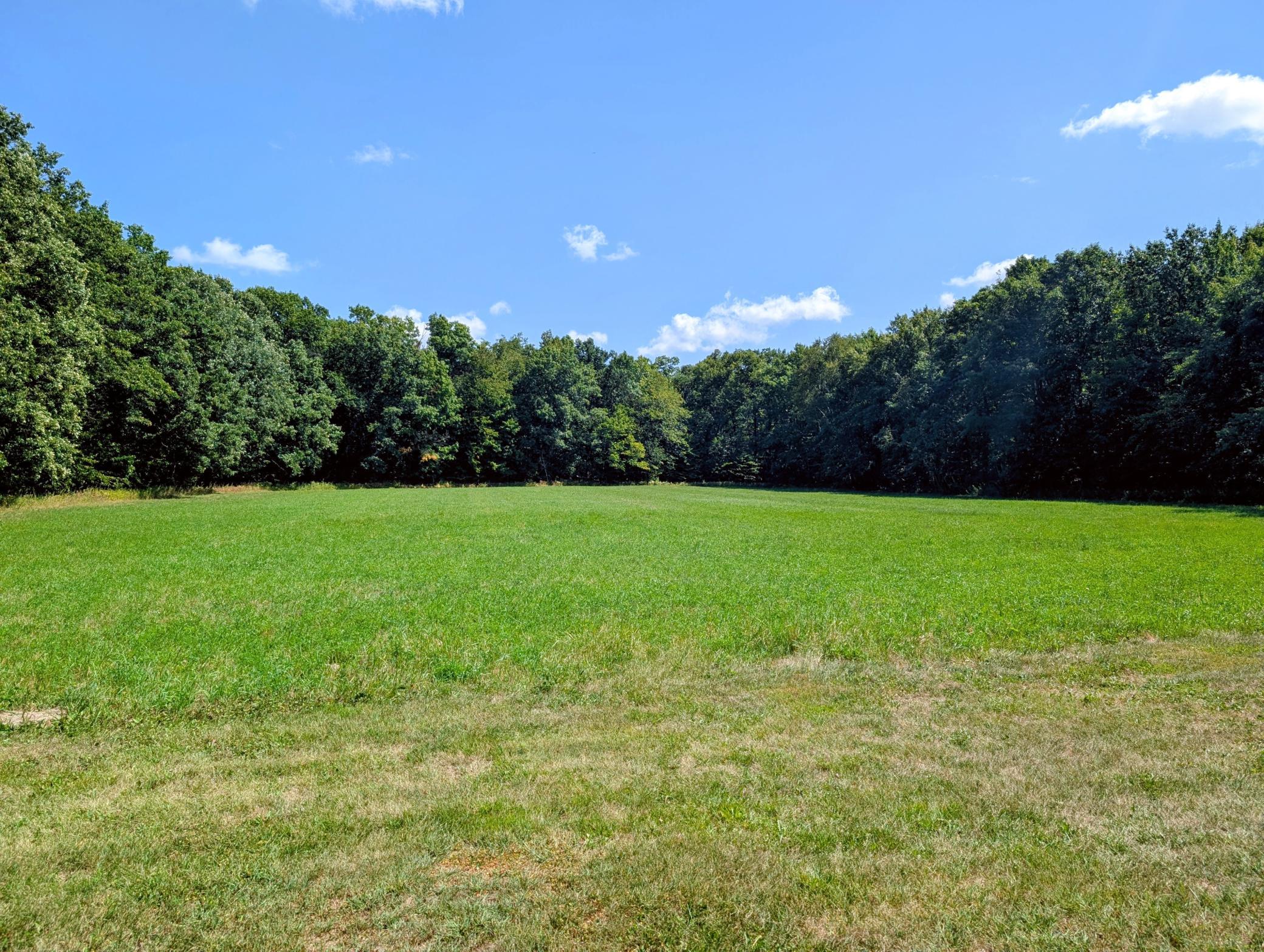 29977 County 31 Property Photo 4