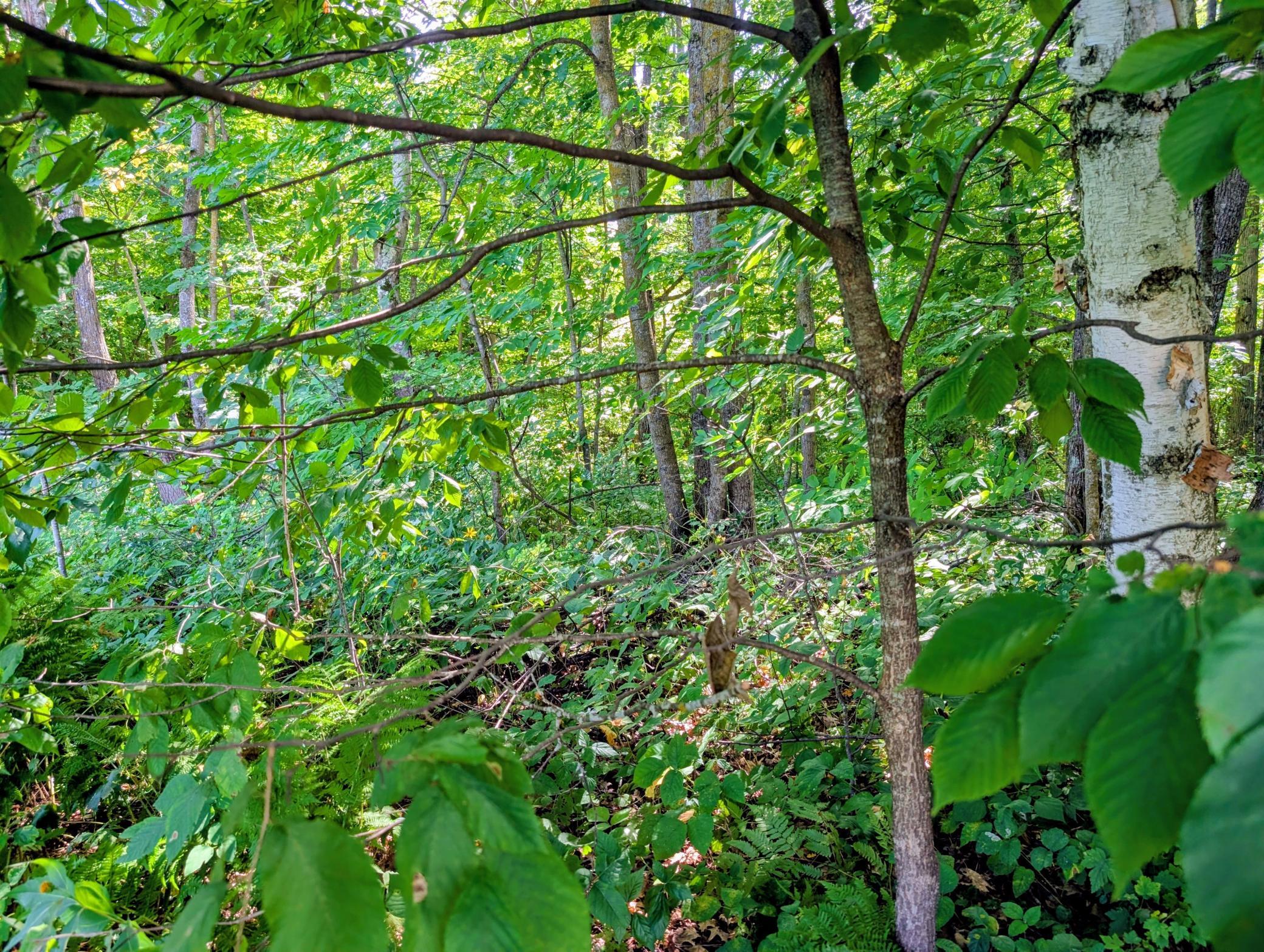 29977 County 31 Property Photo 43