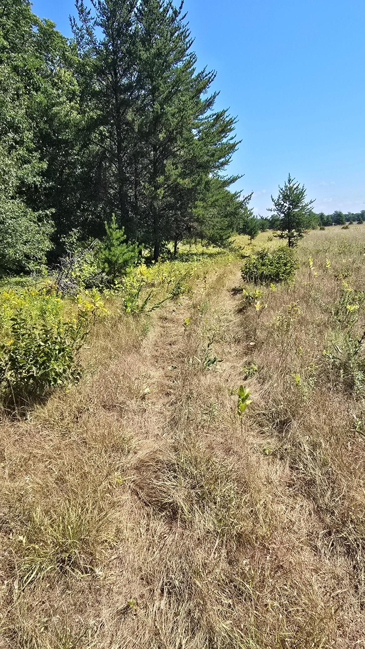 Tbd Ravenswood Road Property Photo 3