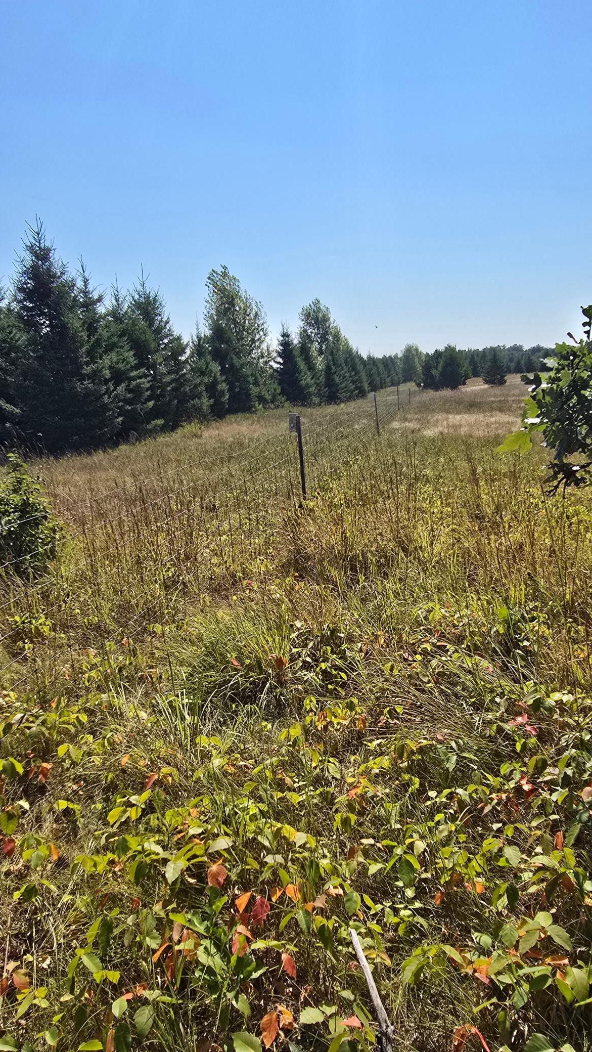 Tbd Ravenswood Road Property Photo 5