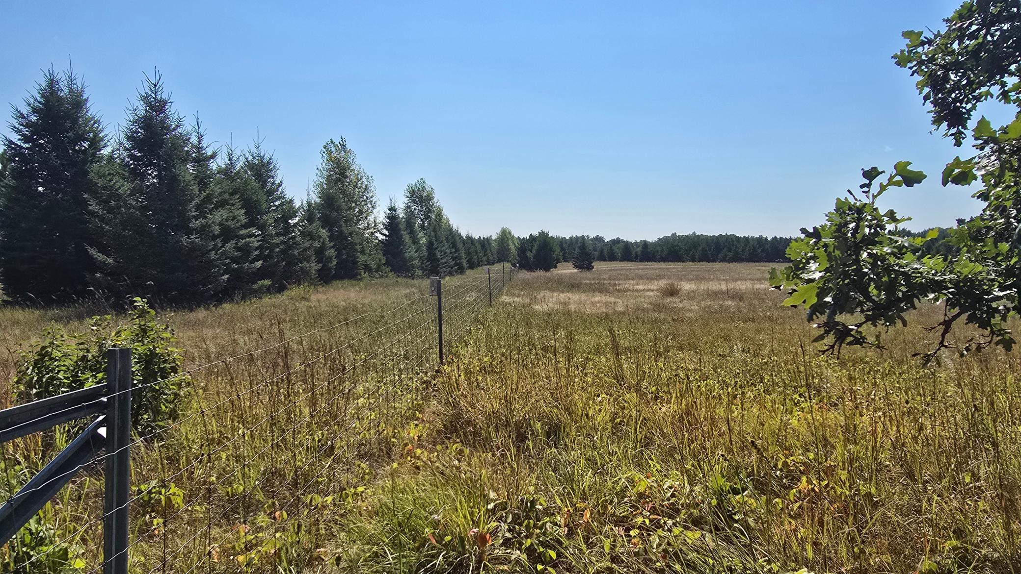 Tbd Ravenswood Road Property Photo 6