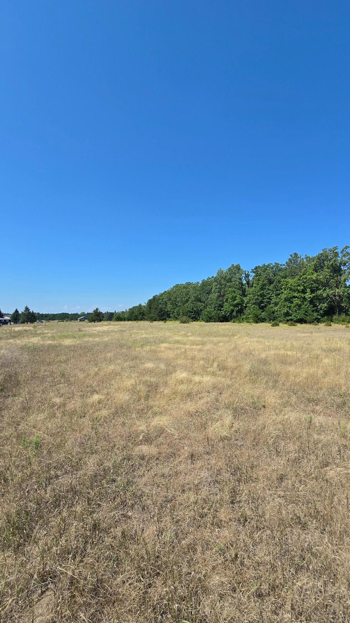 Tbd Ravenswood Road Property Photo 9