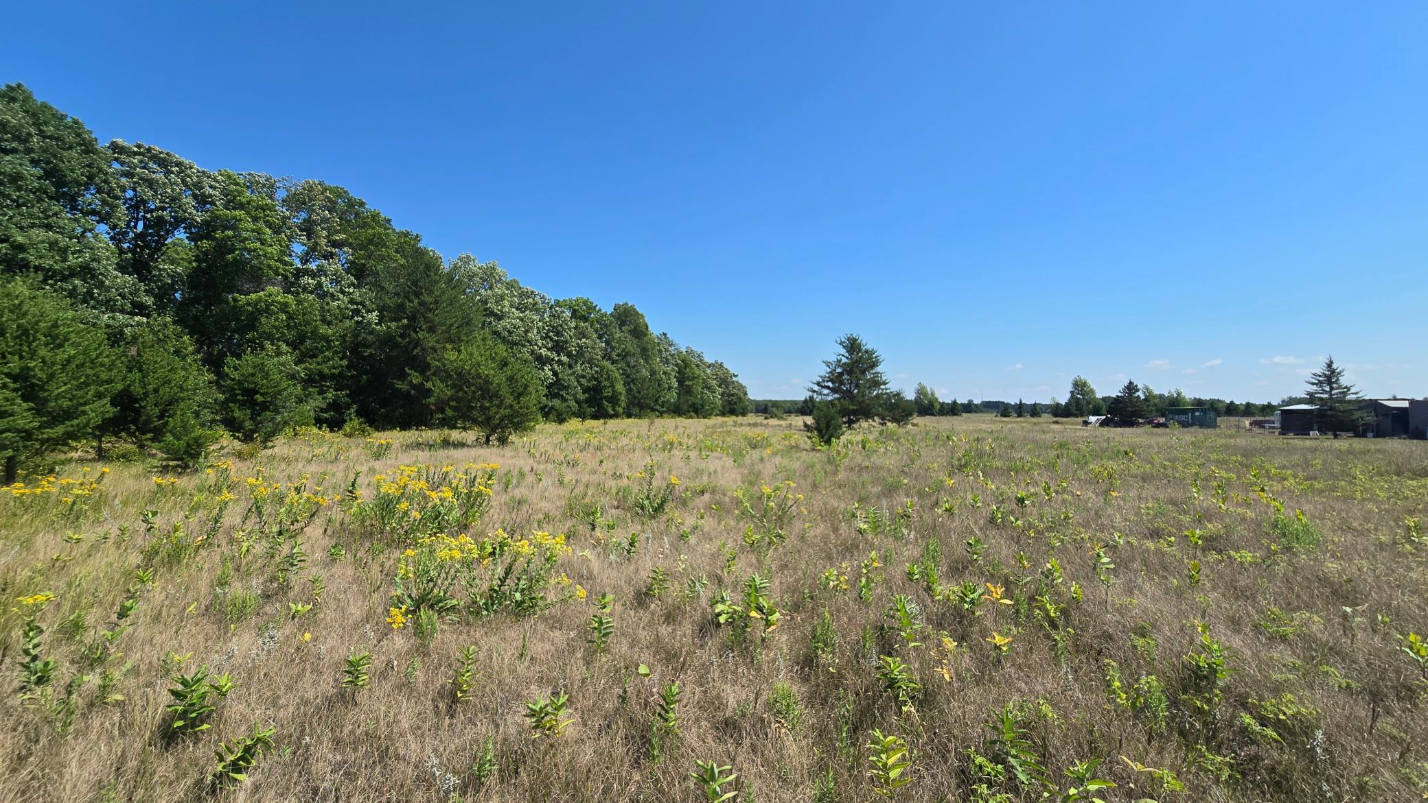Tbd Ravenswood Road Property Photo 11