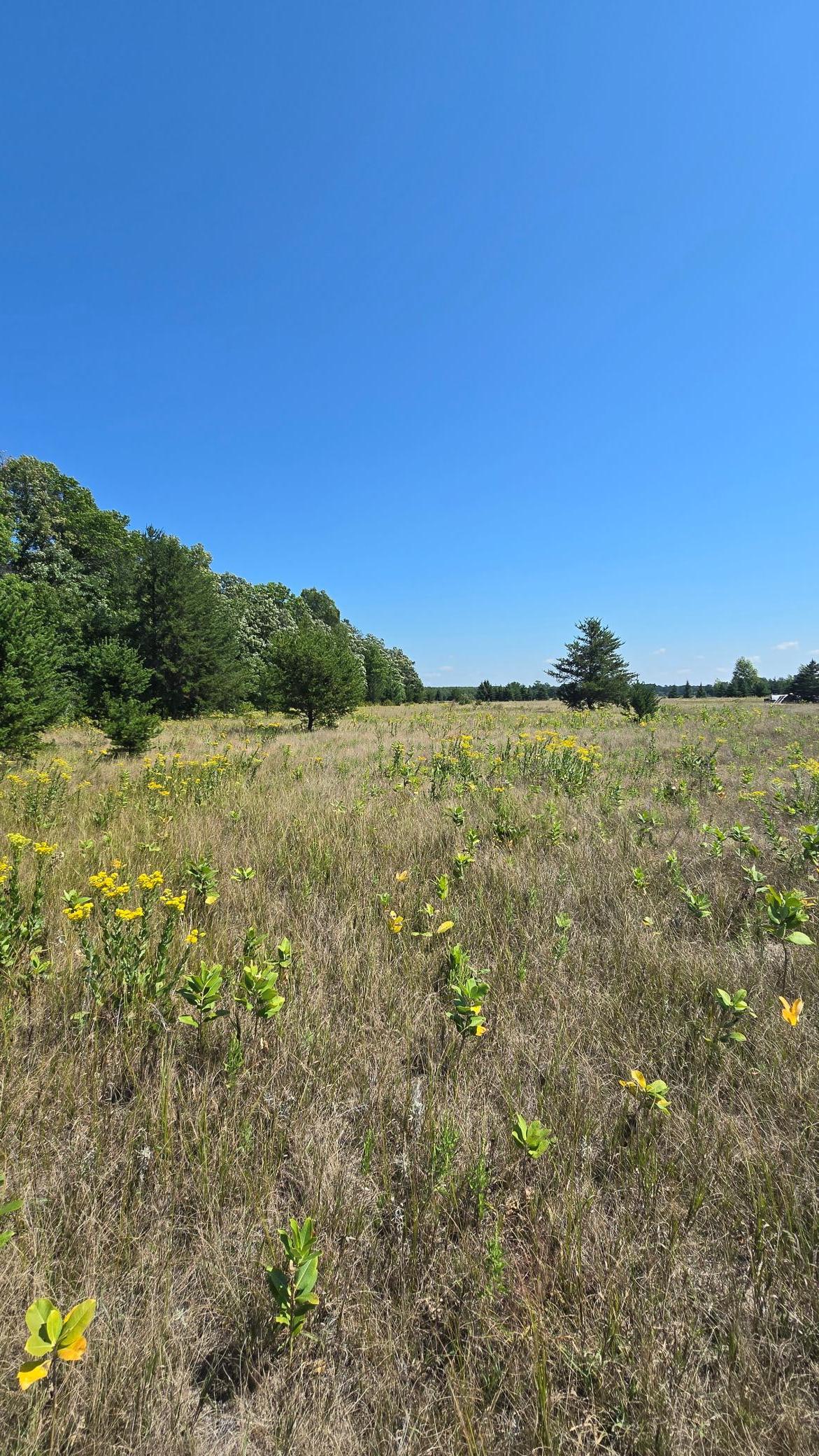 Tbd Ravenswood Road Property Photo 12