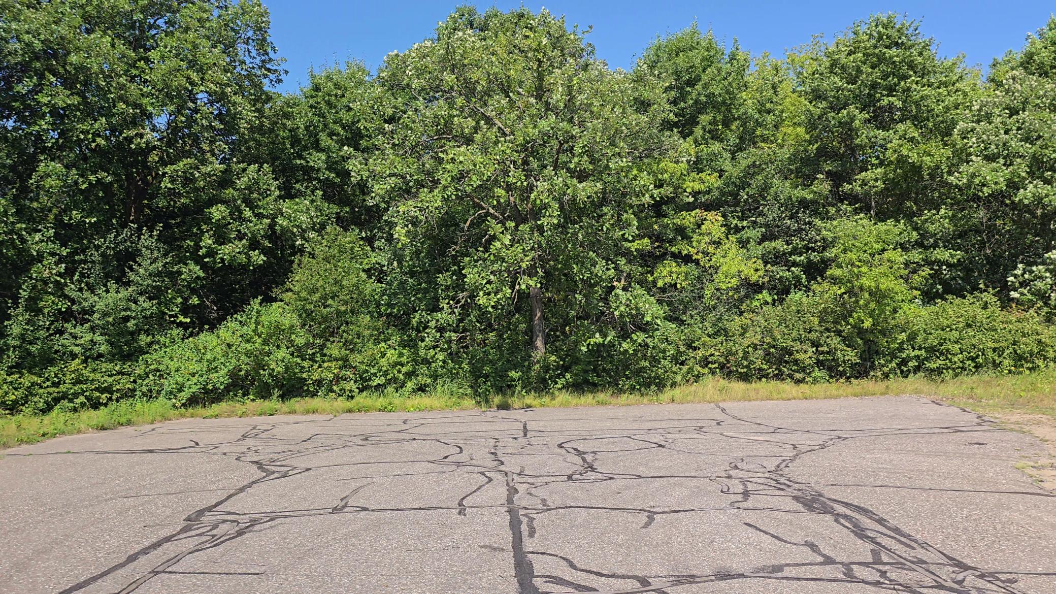 Tbd Ravenswood Road Property Photo 15
