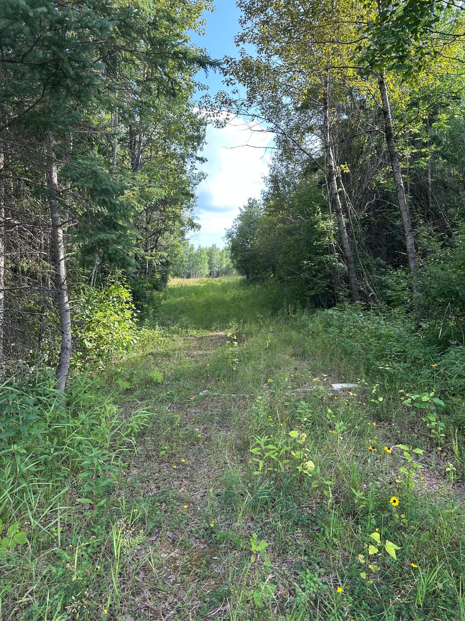 Tbd Esh Acreage Highway 53 Property Photo 5