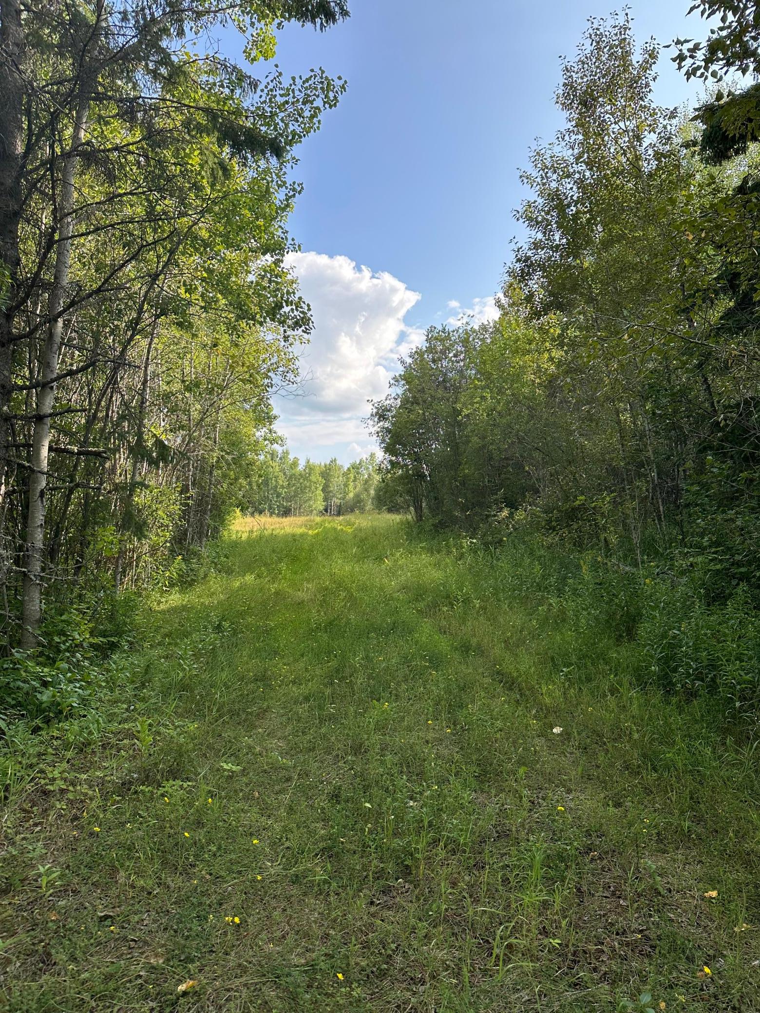 Tbd Esh Acreage Highway 53 Property Photo 6