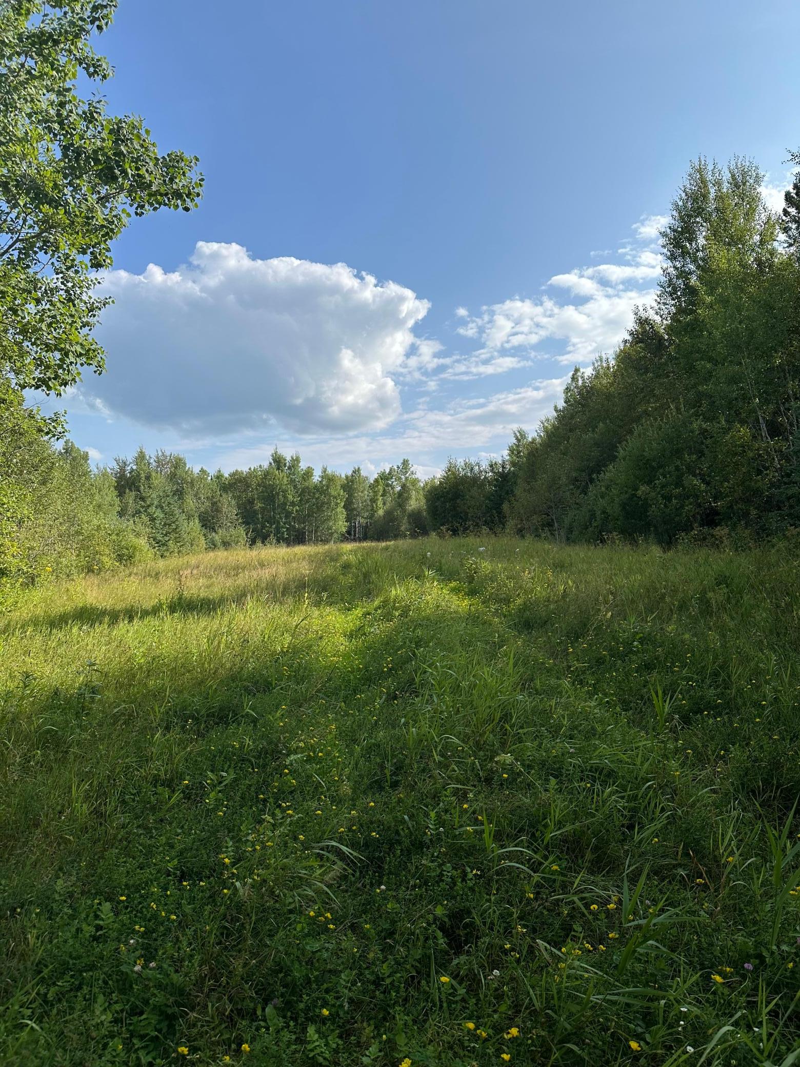 Tbd Esh Acreage Highway 53 Property Photo 7
