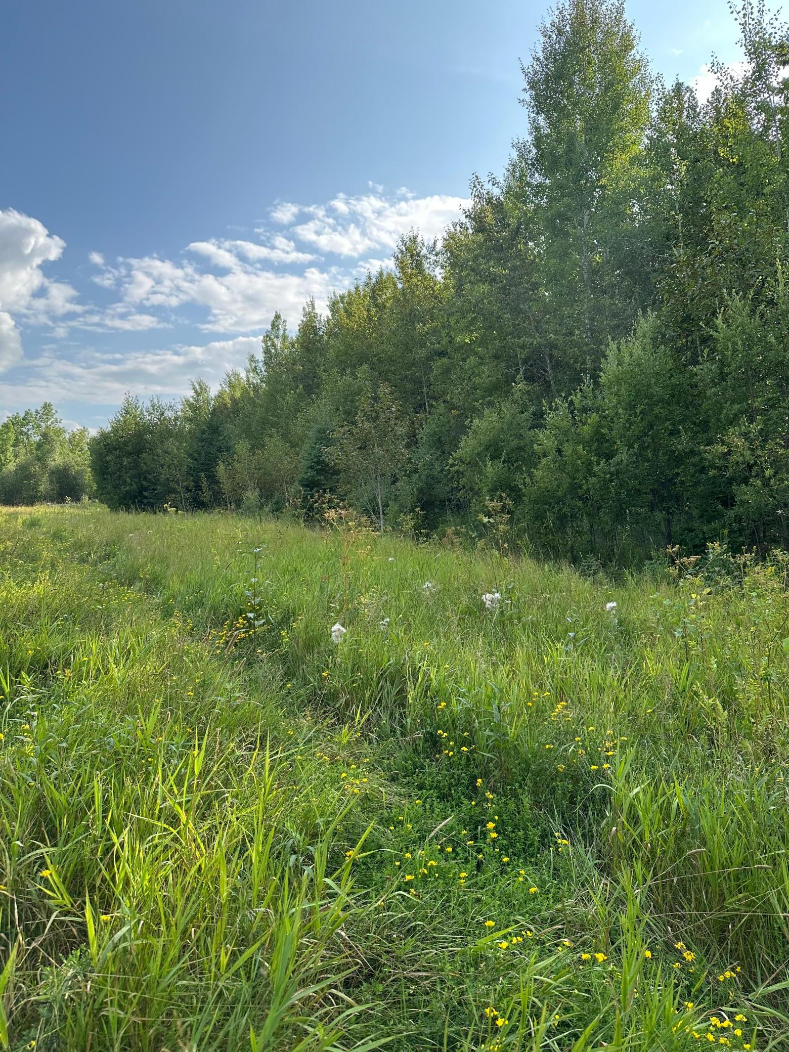 Tbd Esh Acreage Highway 53 Property Photo 8