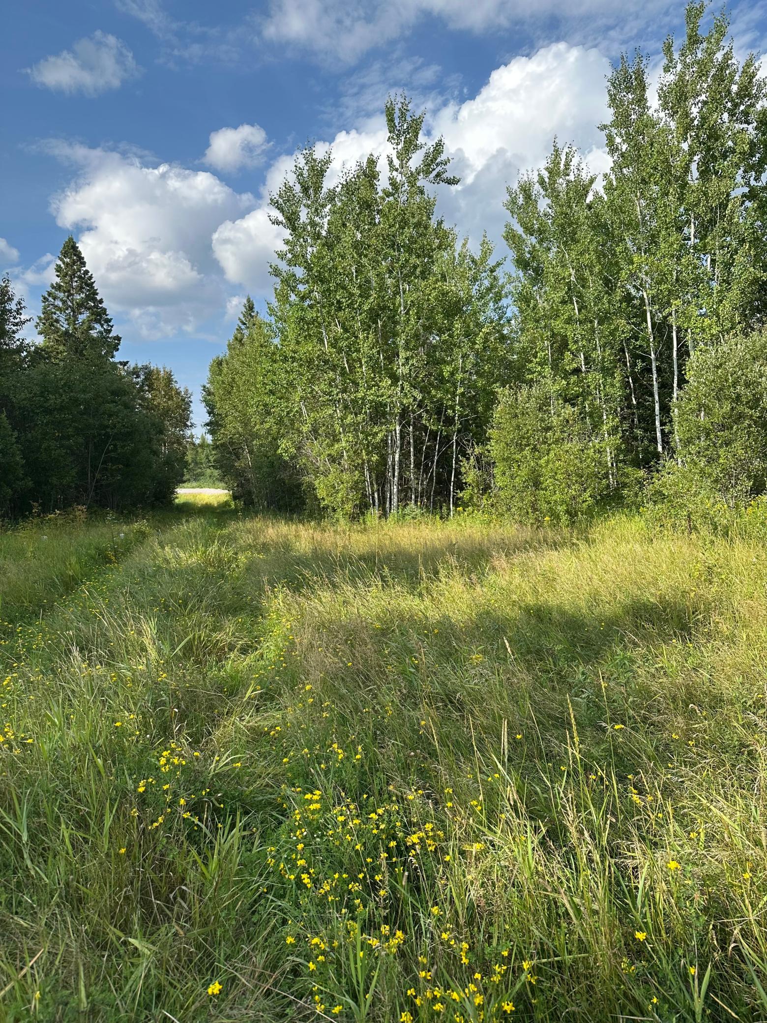 Tbd Esh Acreage Highway 53 Property Photo 9