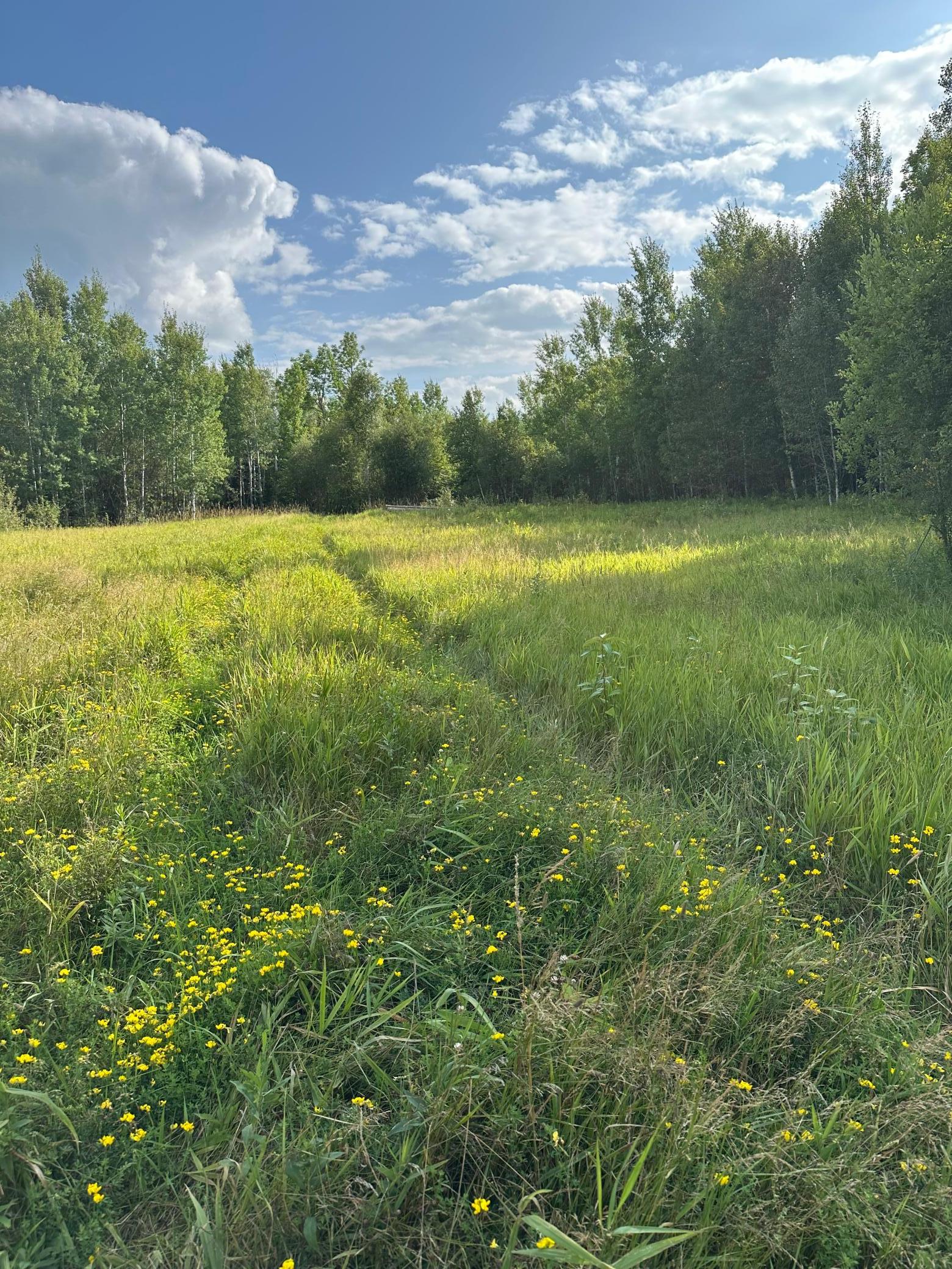 Tbd Esh Acreage Highway 53 Property Photo 10