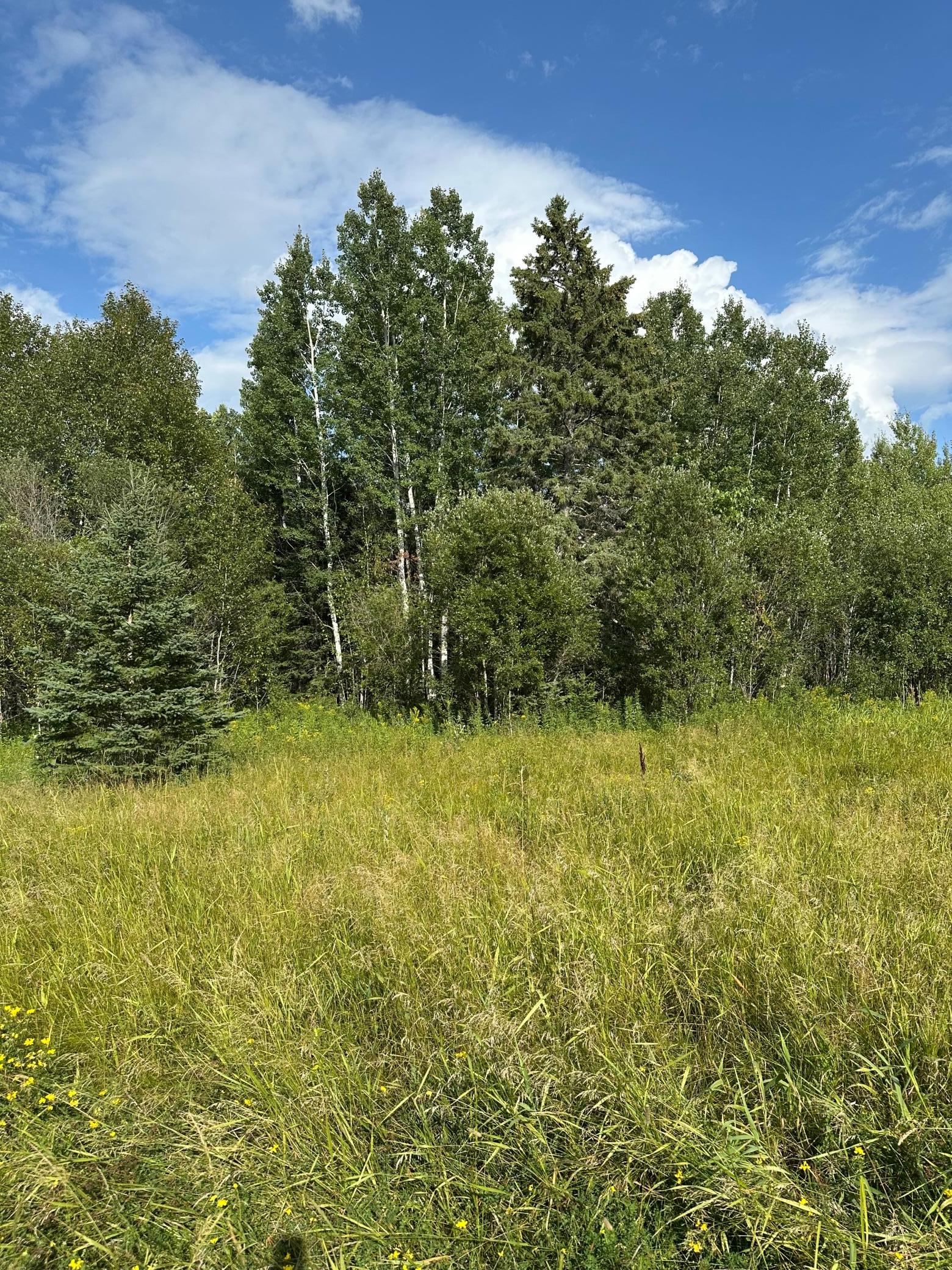 Tbd Esh Acreage Highway 53 Property Photo 11