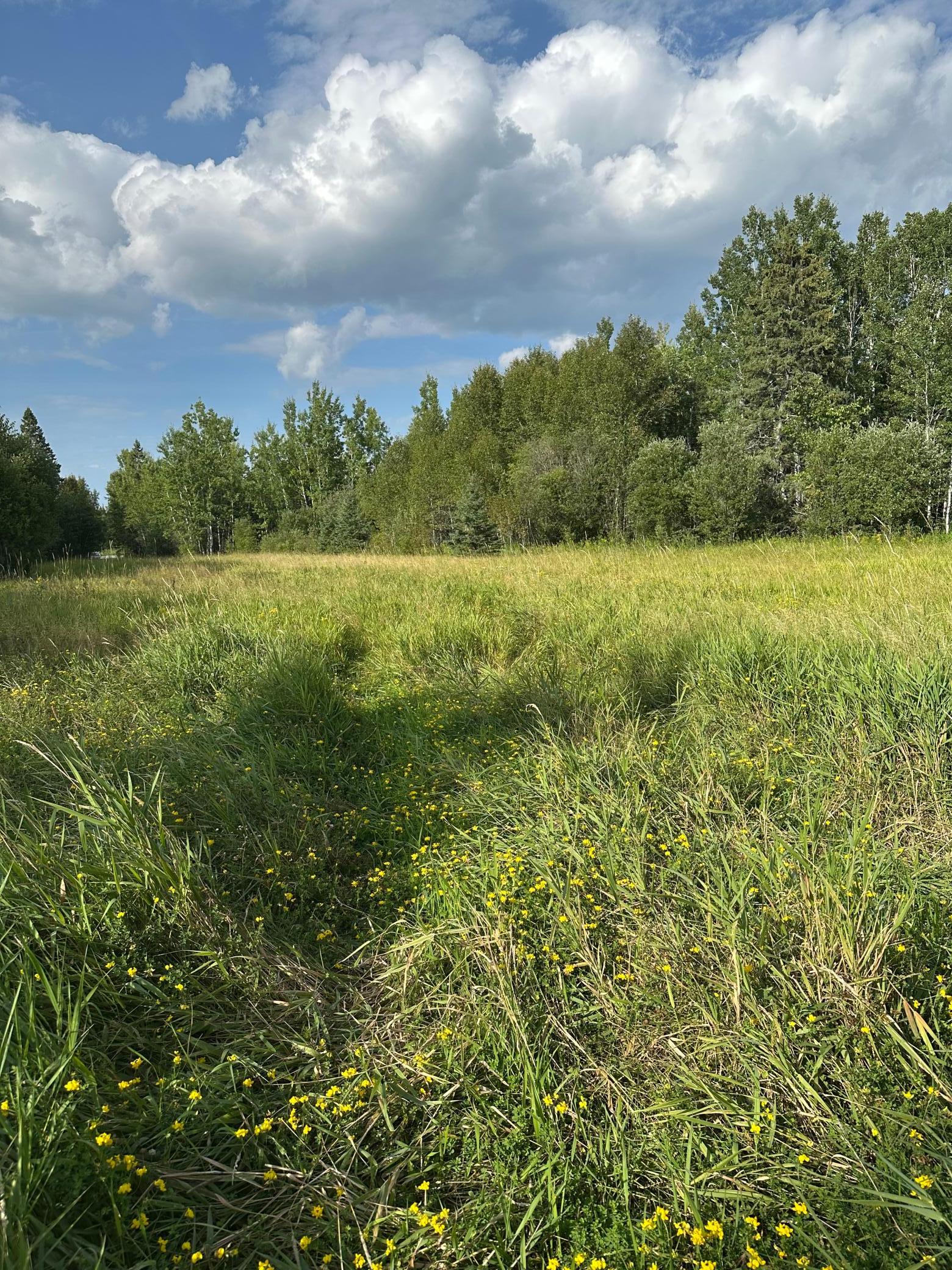 Tbd Esh Acreage Highway 53 Property Photo 12