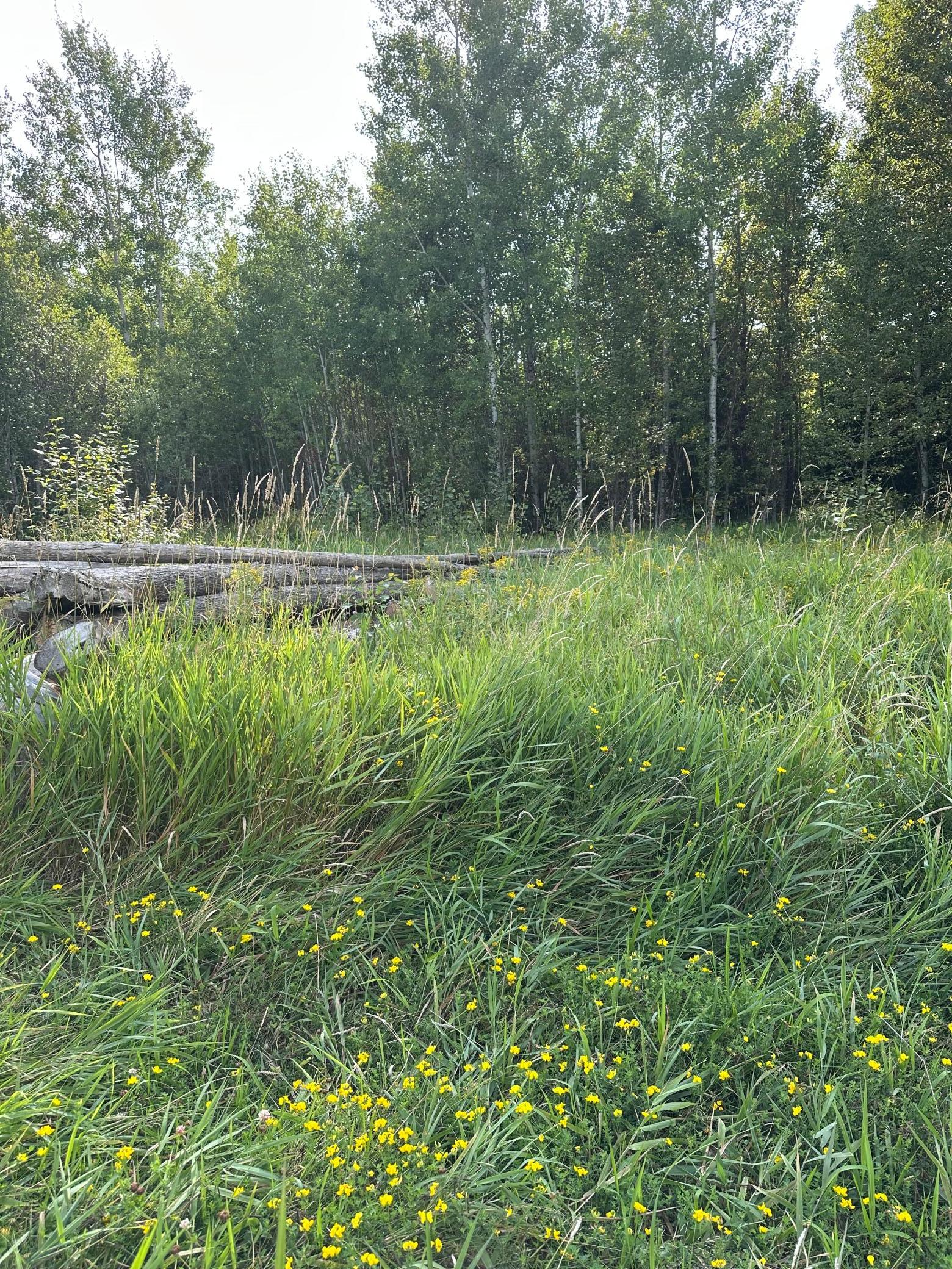 Tbd Esh Acreage Highway 53 Property Photo 14