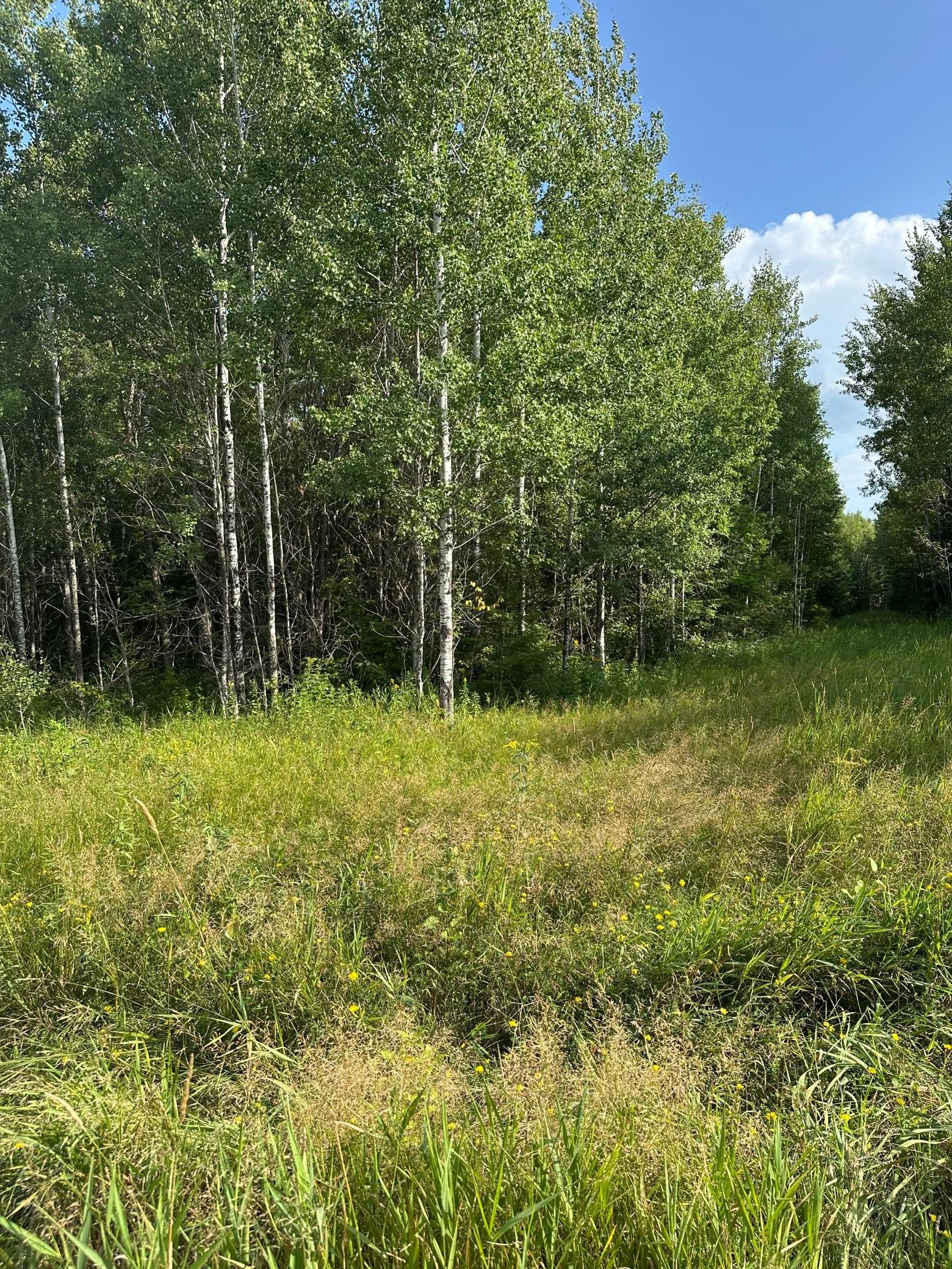 Tbd Esh Acreage Highway 53 Property Photo 15