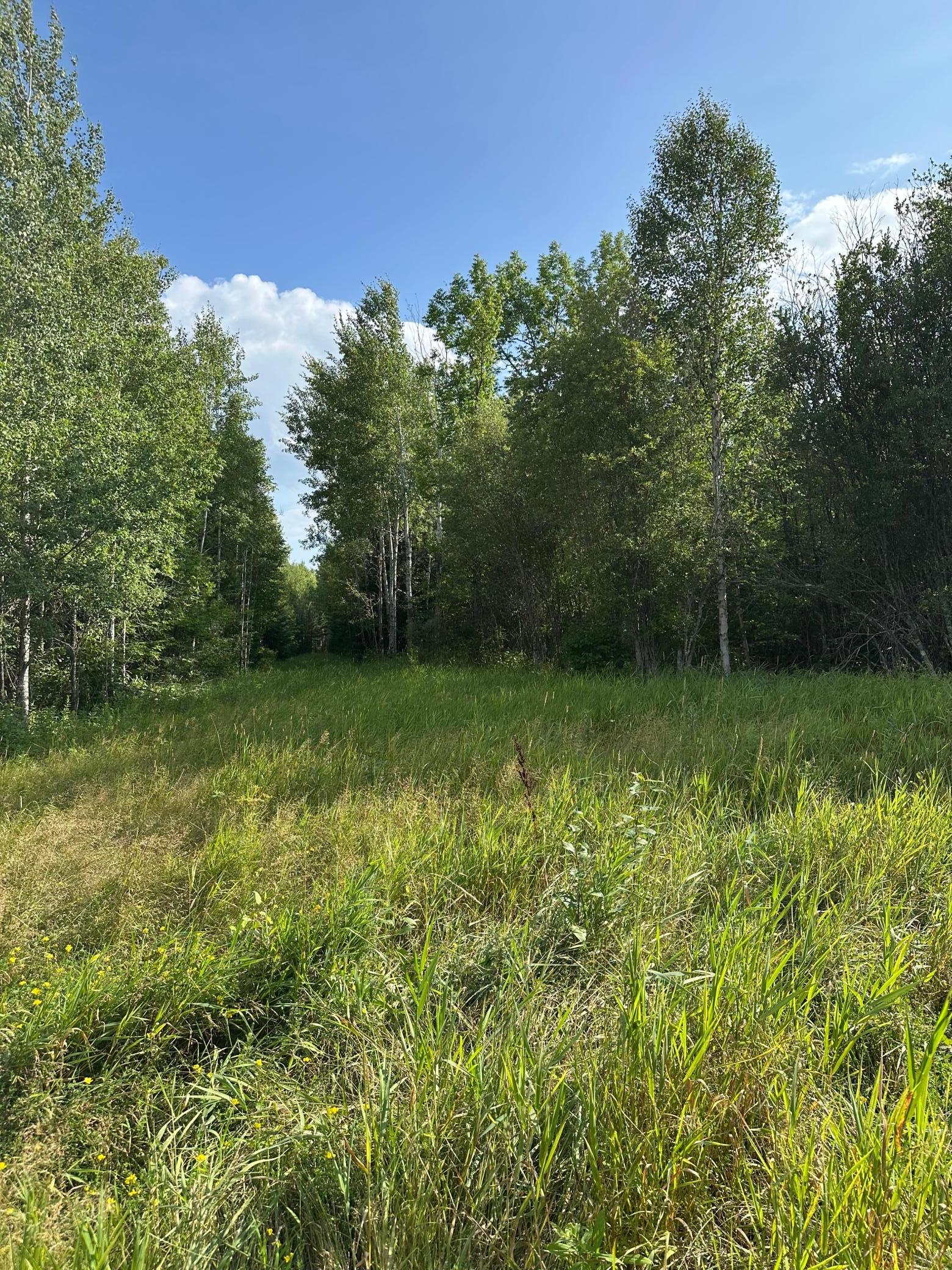 Tbd Esh Acreage Highway 53 Property Photo 16