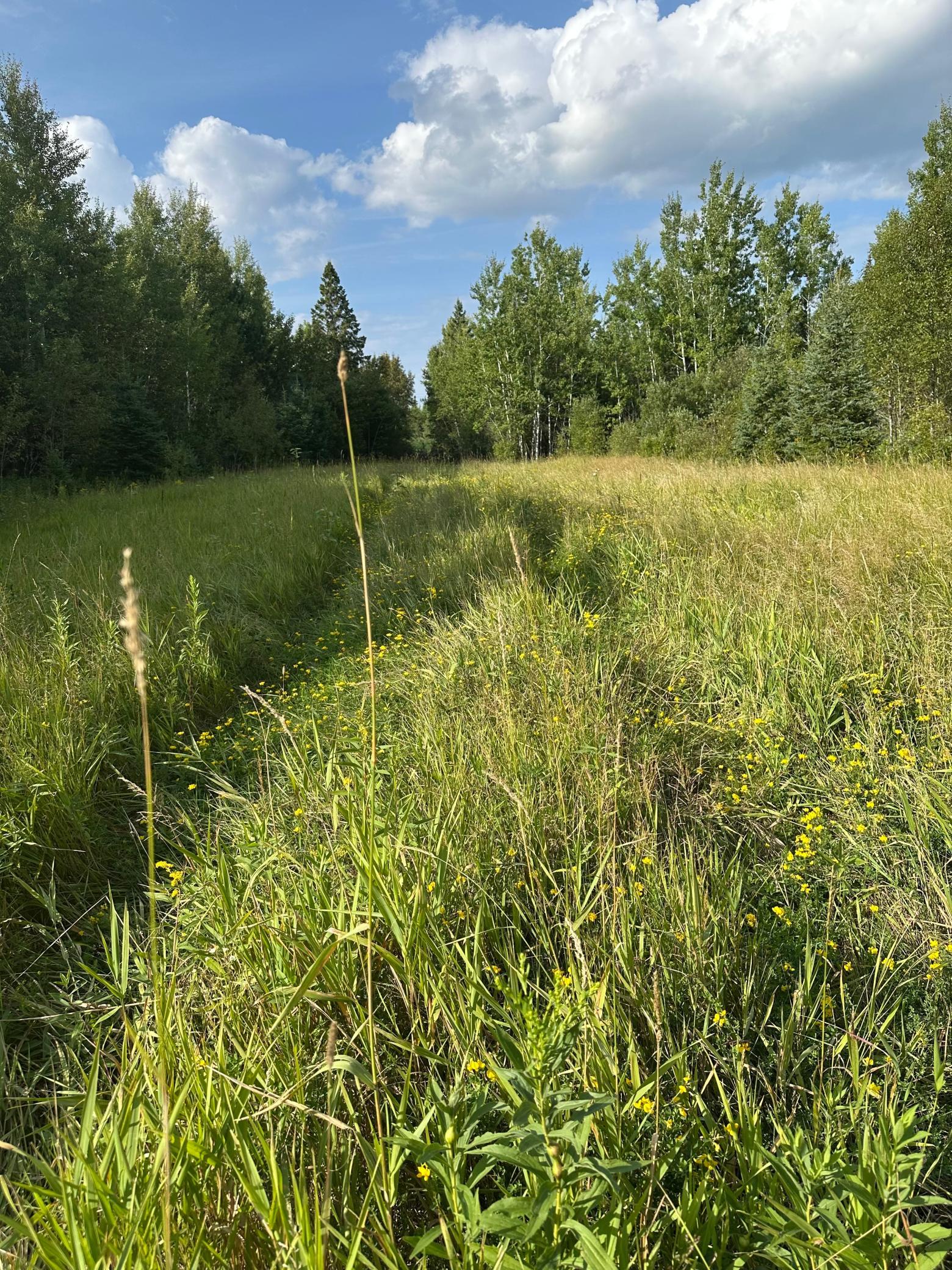Tbd Esh Acreage Highway 53 Property Photo 17