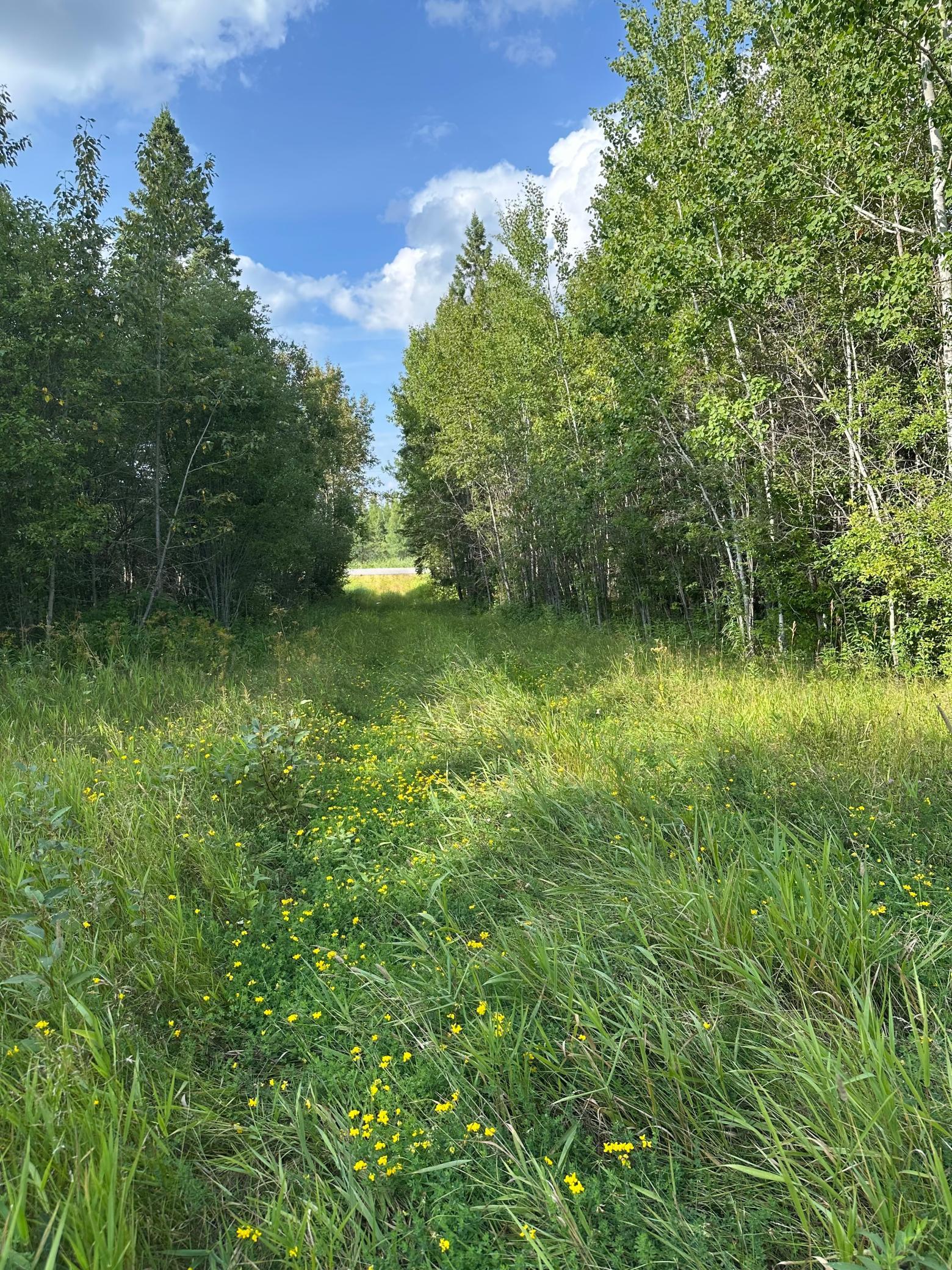 Tbd Esh Acreage Highway 53 Property Photo 18
