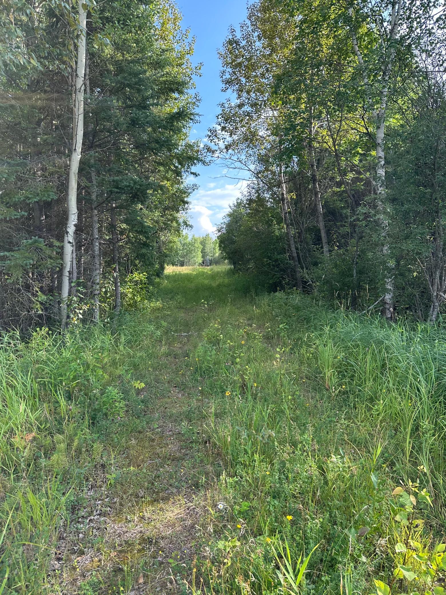 Tbd Esh Acreage Highway 53 Property Photo 19