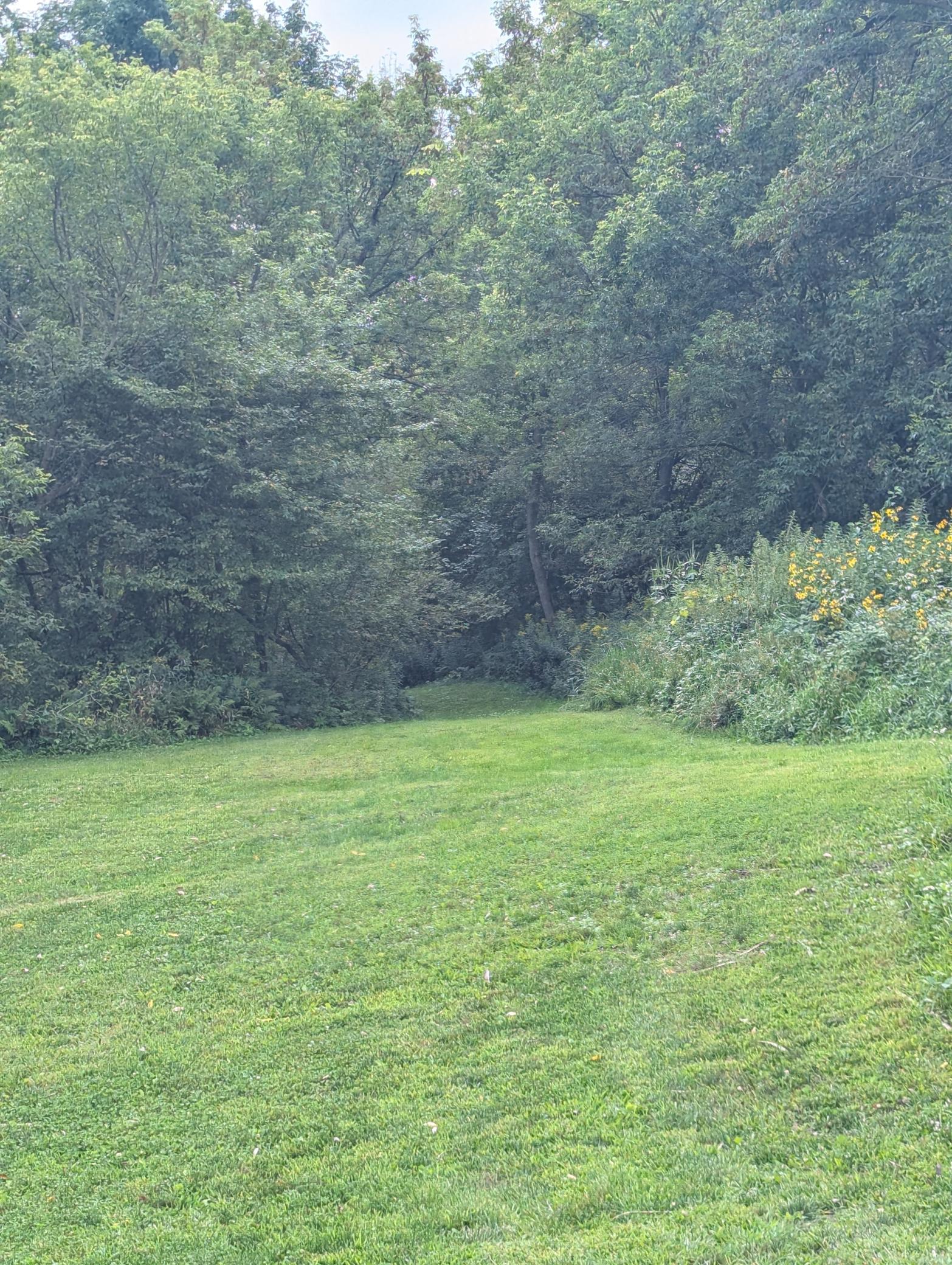 N8067 County Road Q Property Photo 12
