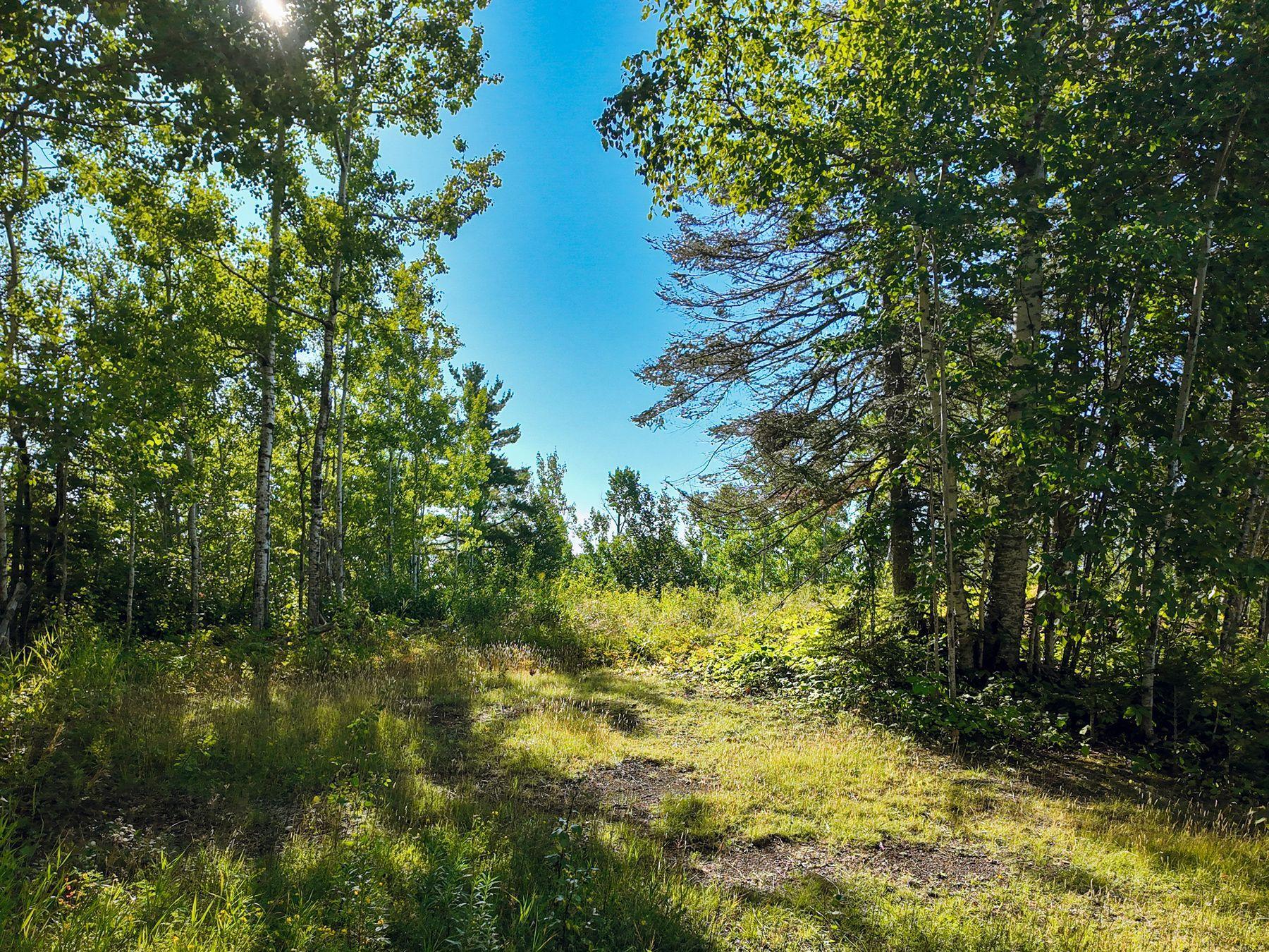 Xxx Casper's Hill Road Property Photo 1