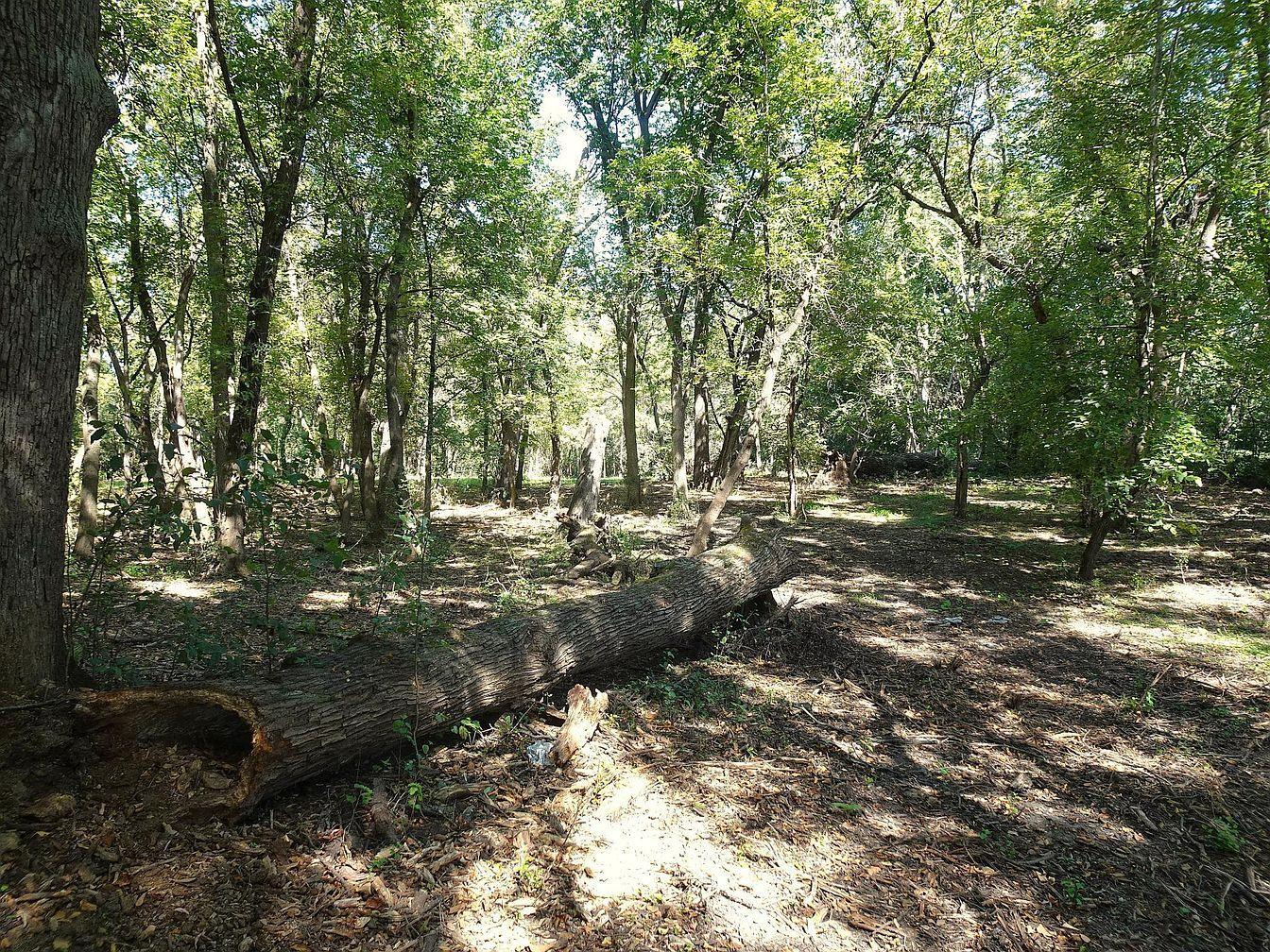 5990 Painter Road Property Photo 10