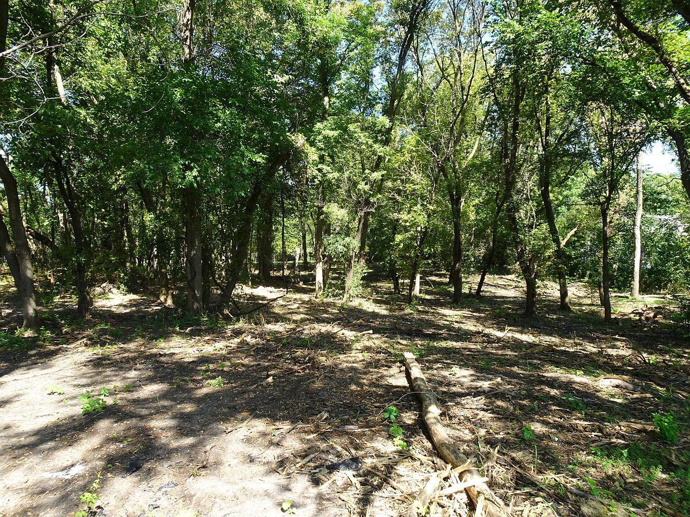 5990 Painter Road Property Photo 14