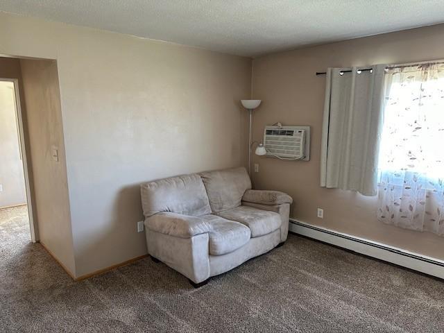 910 Maple Street Property Photo 4
