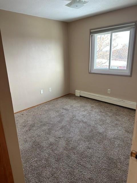 910 Maple Street Property Photo 16