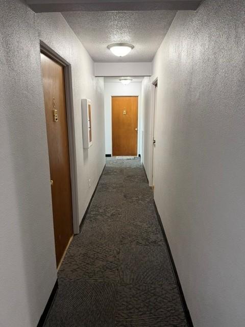 910 Maple Street Property Photo 20