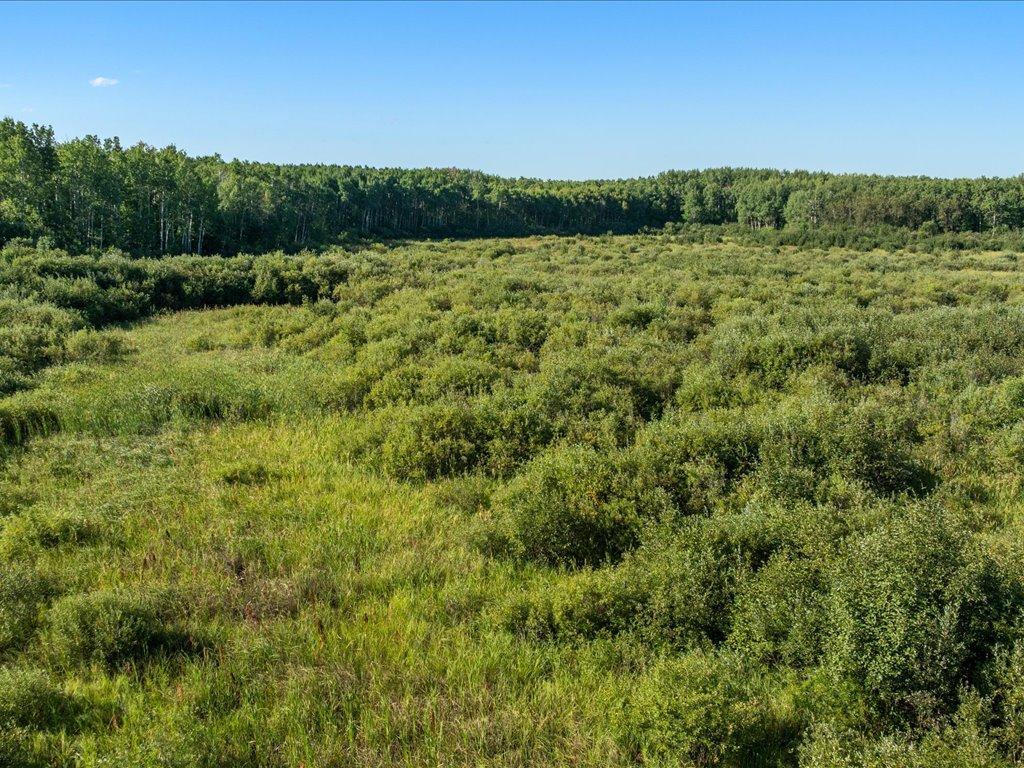 Tbd Meadowview Rd Property Photo 13