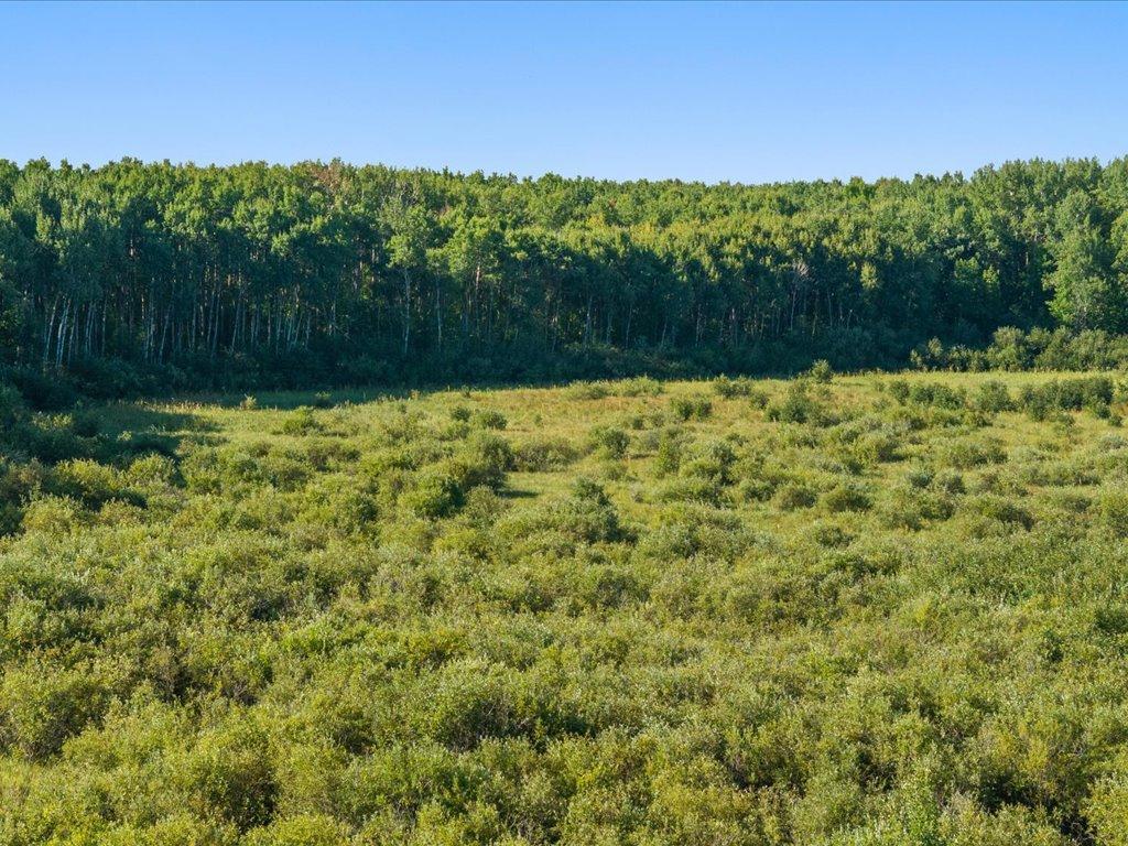 Tbd Meadowview Rd Property Photo 14