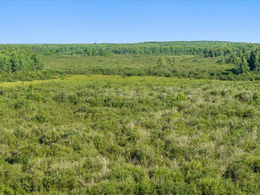 Tbd Meadowview Rd Property Photo 16