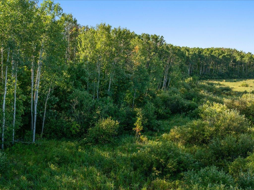 Tbd Meadowview Rd Property Photo 19