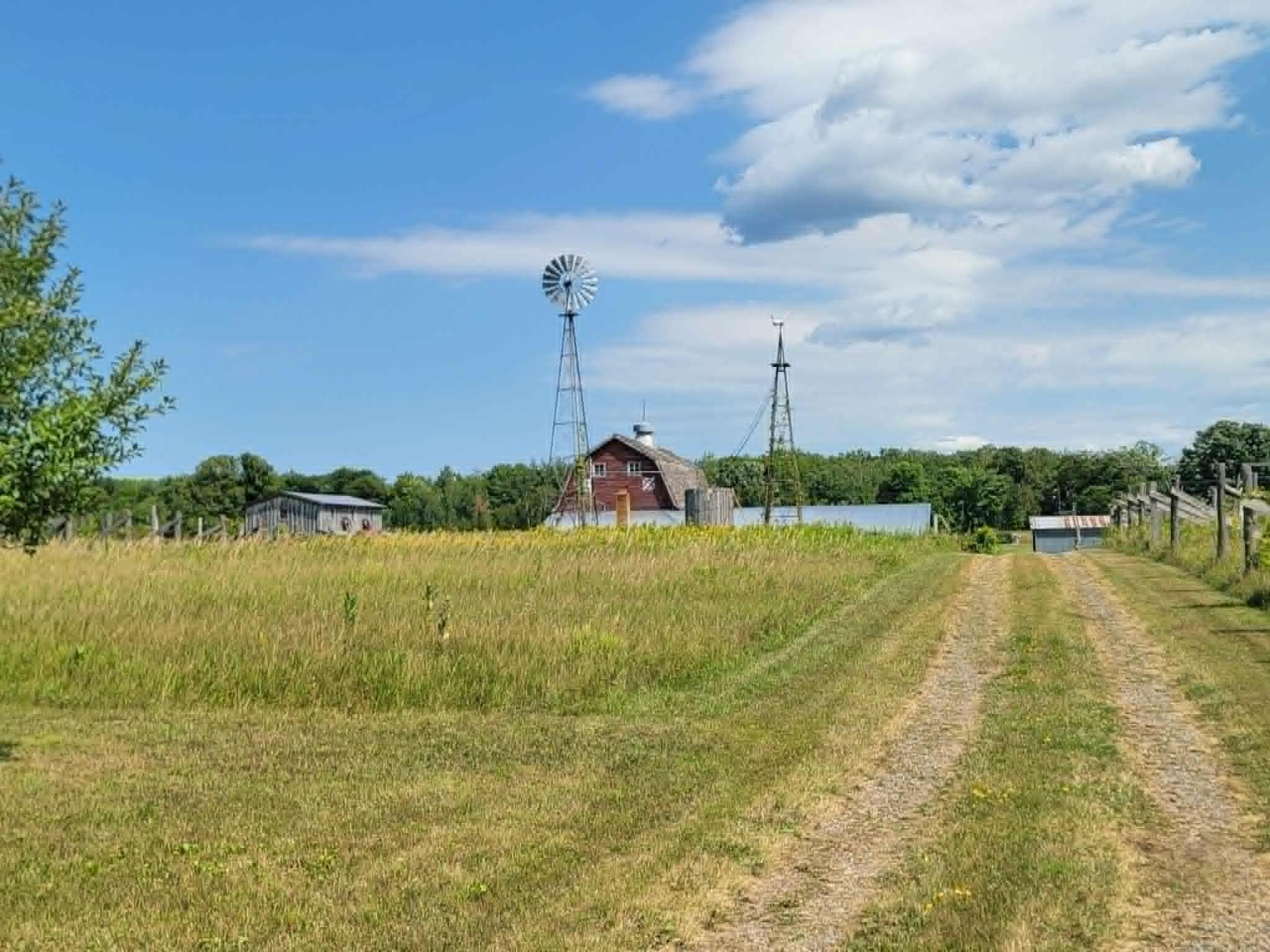 40306 Torchlight Road Property Photo 6